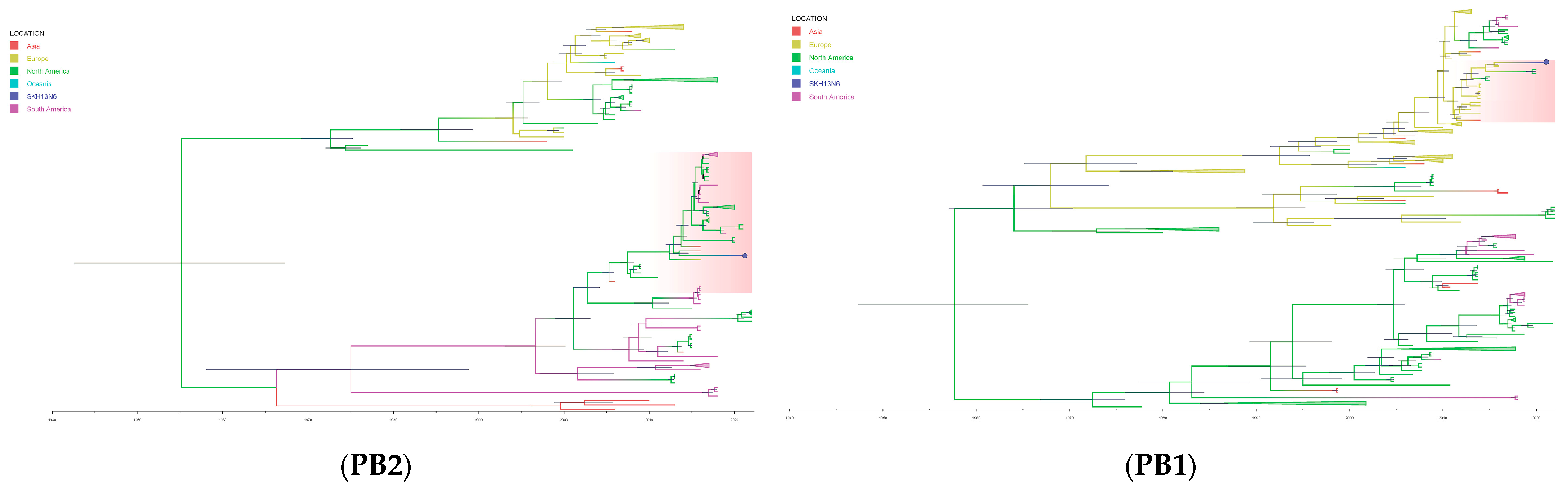 Viruses 16 00285 g004a