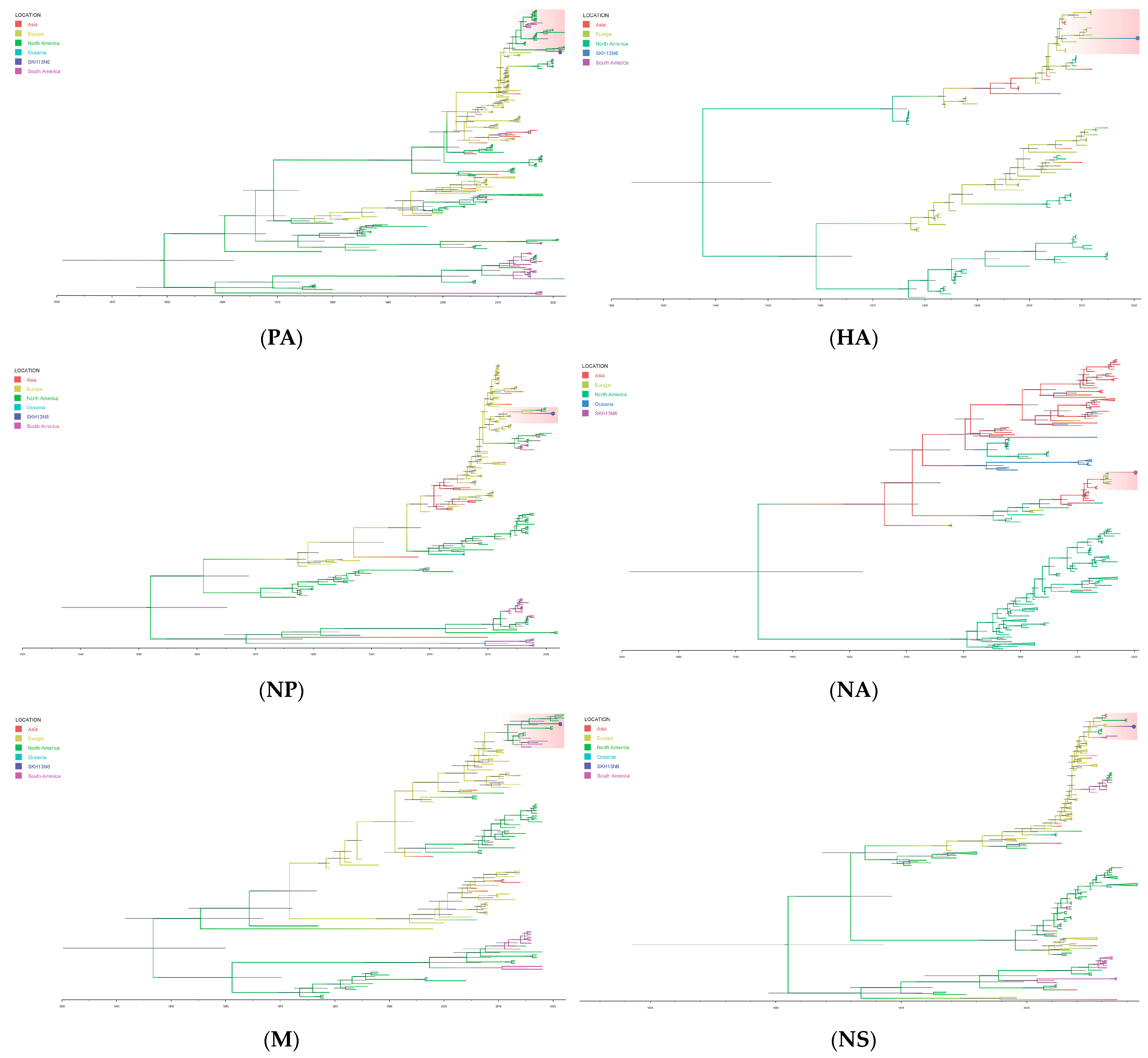 Viruses 16 00285 g004b