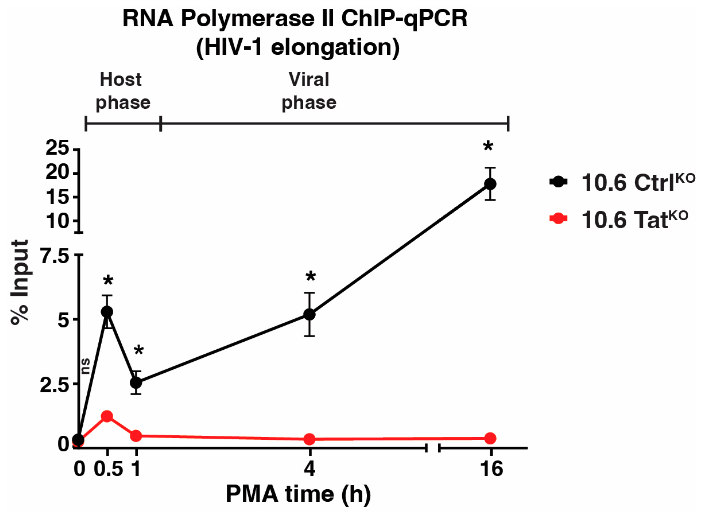 Viruses 16 00287 g006