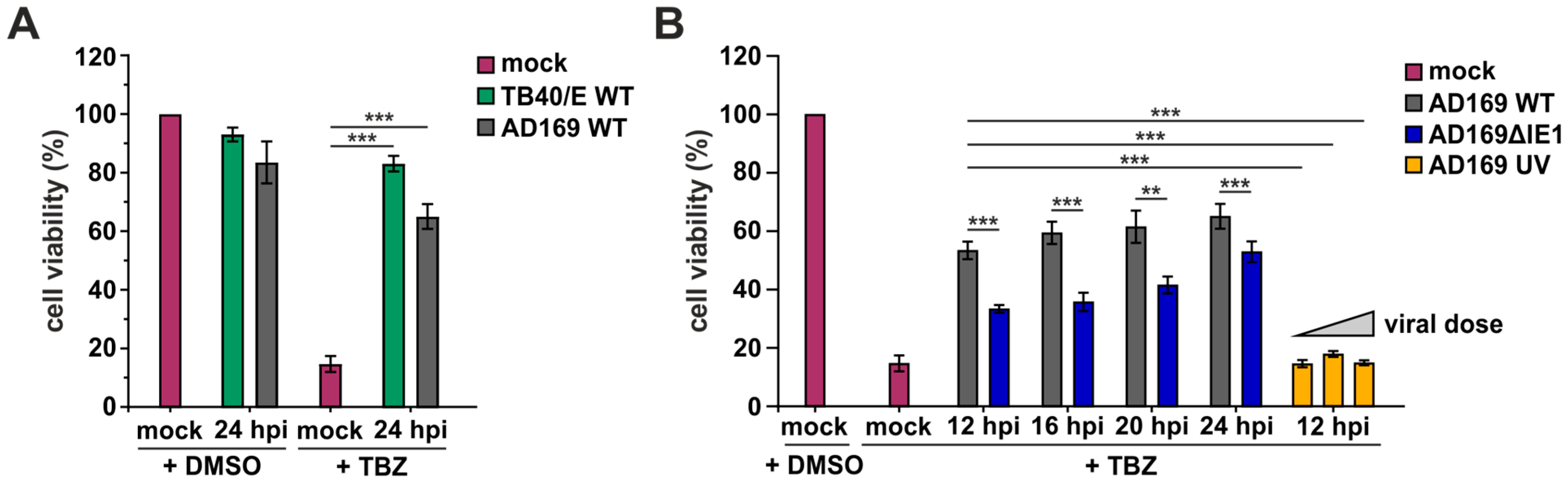 Viruses 16 00290 g003