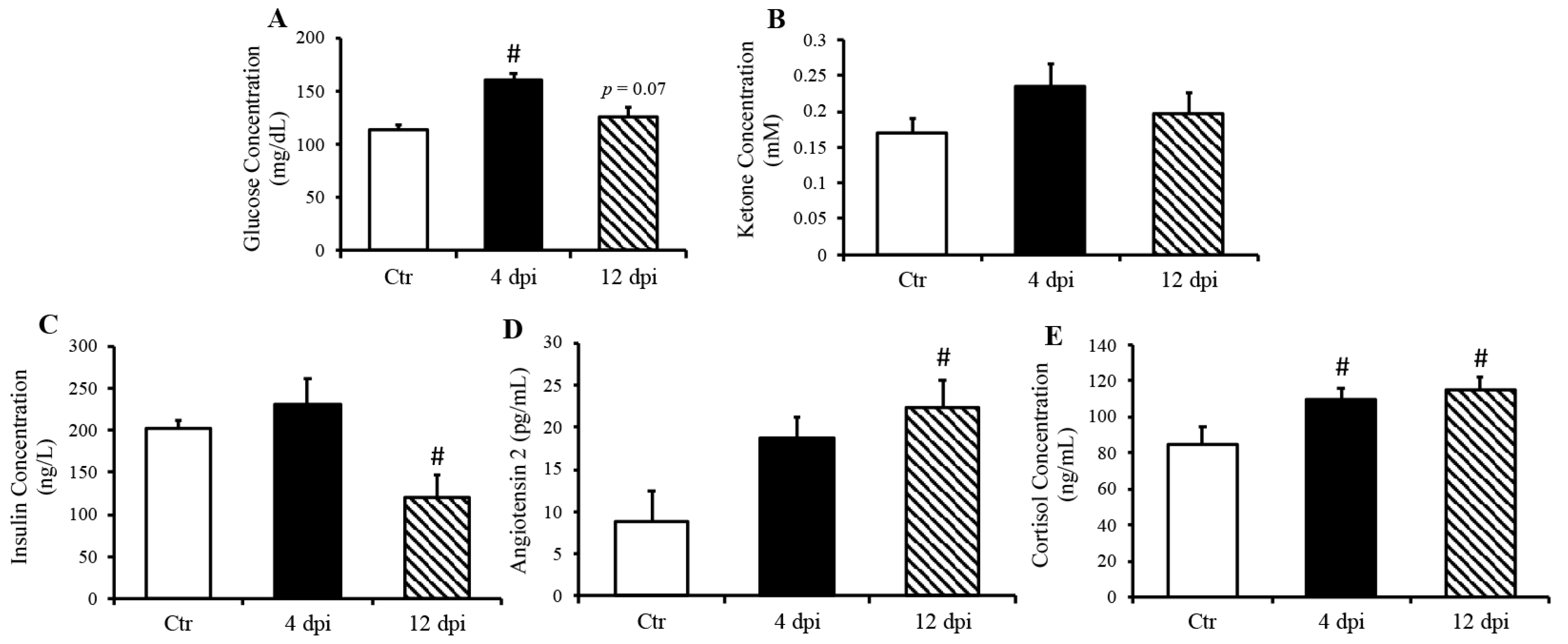 Viruses 16 00295 g001