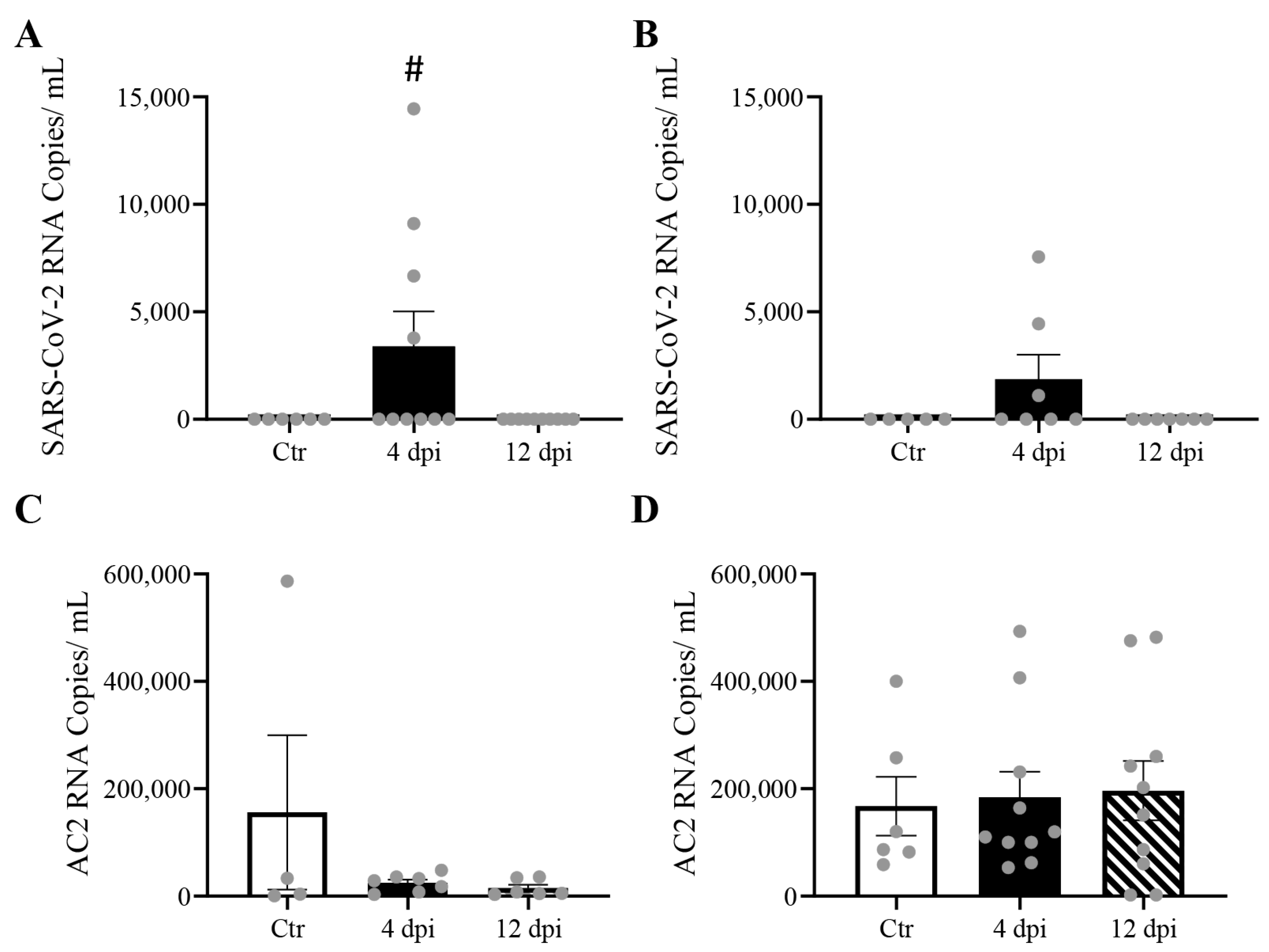 Viruses 16 00295 g002