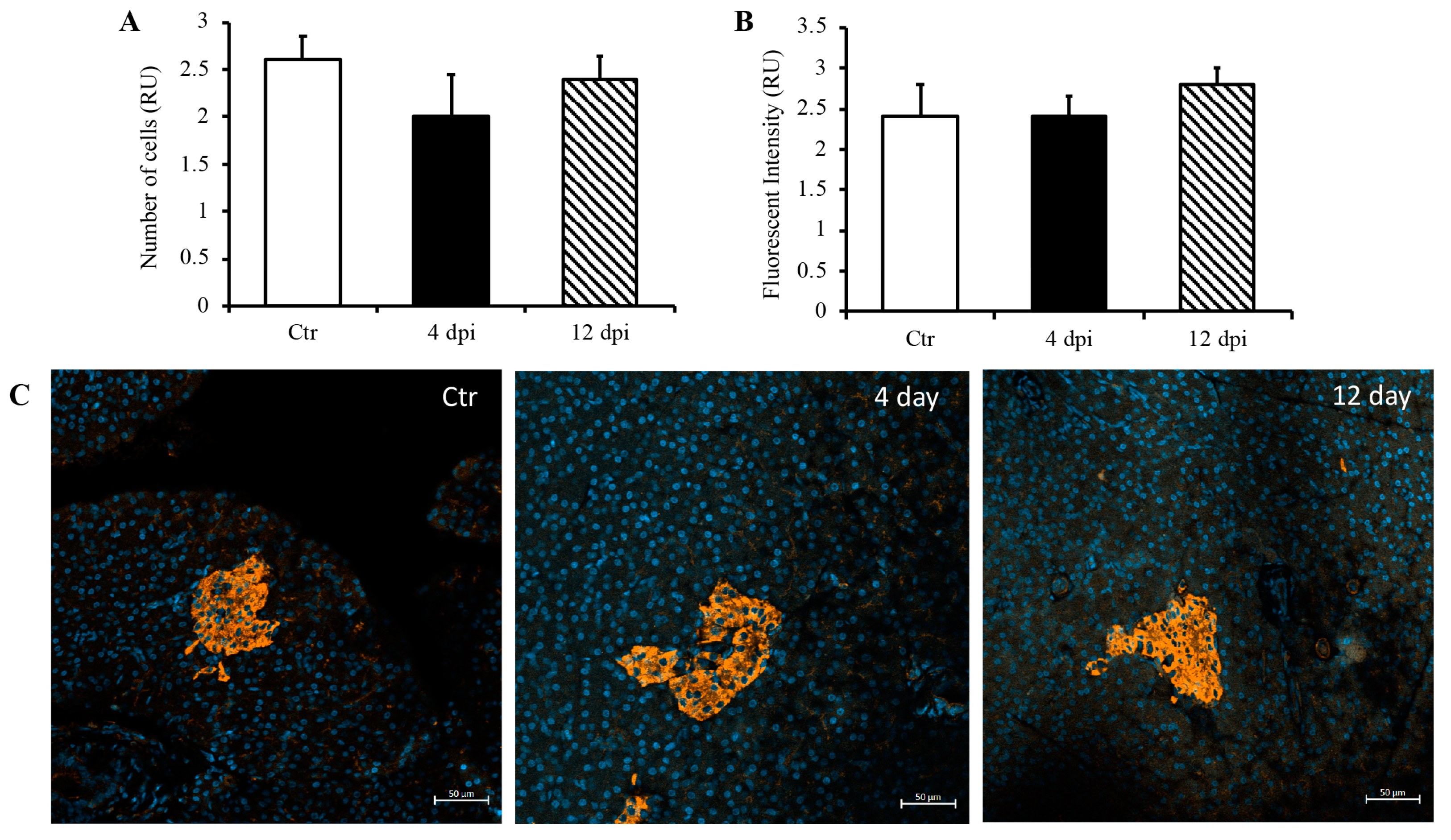 Viruses 16 00295 g003