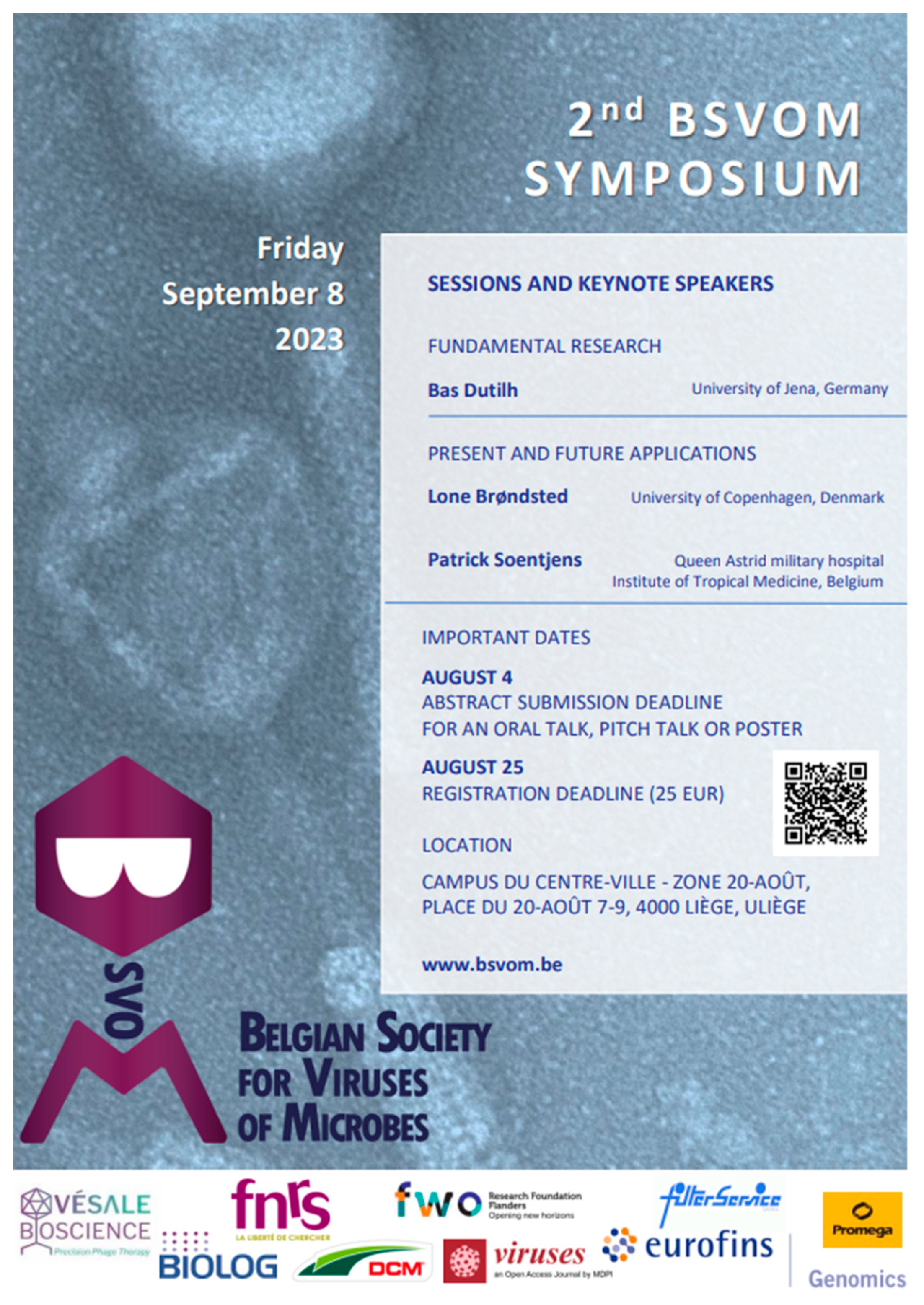 Viruses 16 00299 g001