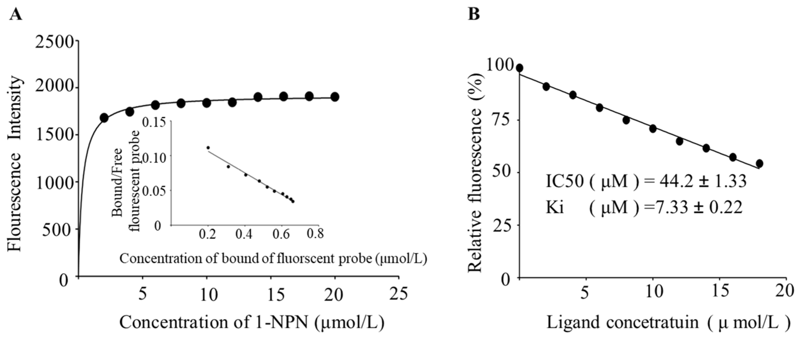 Viruses 16 00300 g006 Viruses 16 00300 g006