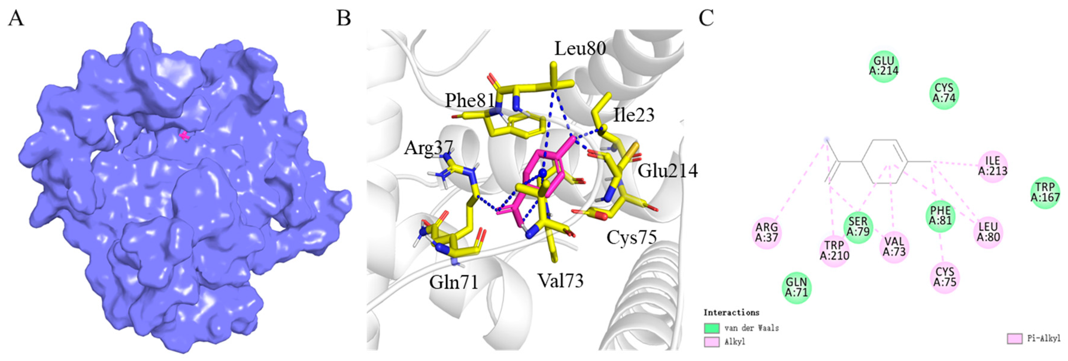 Viruses 16 00300 g007 Viruses 16 00300 g007
