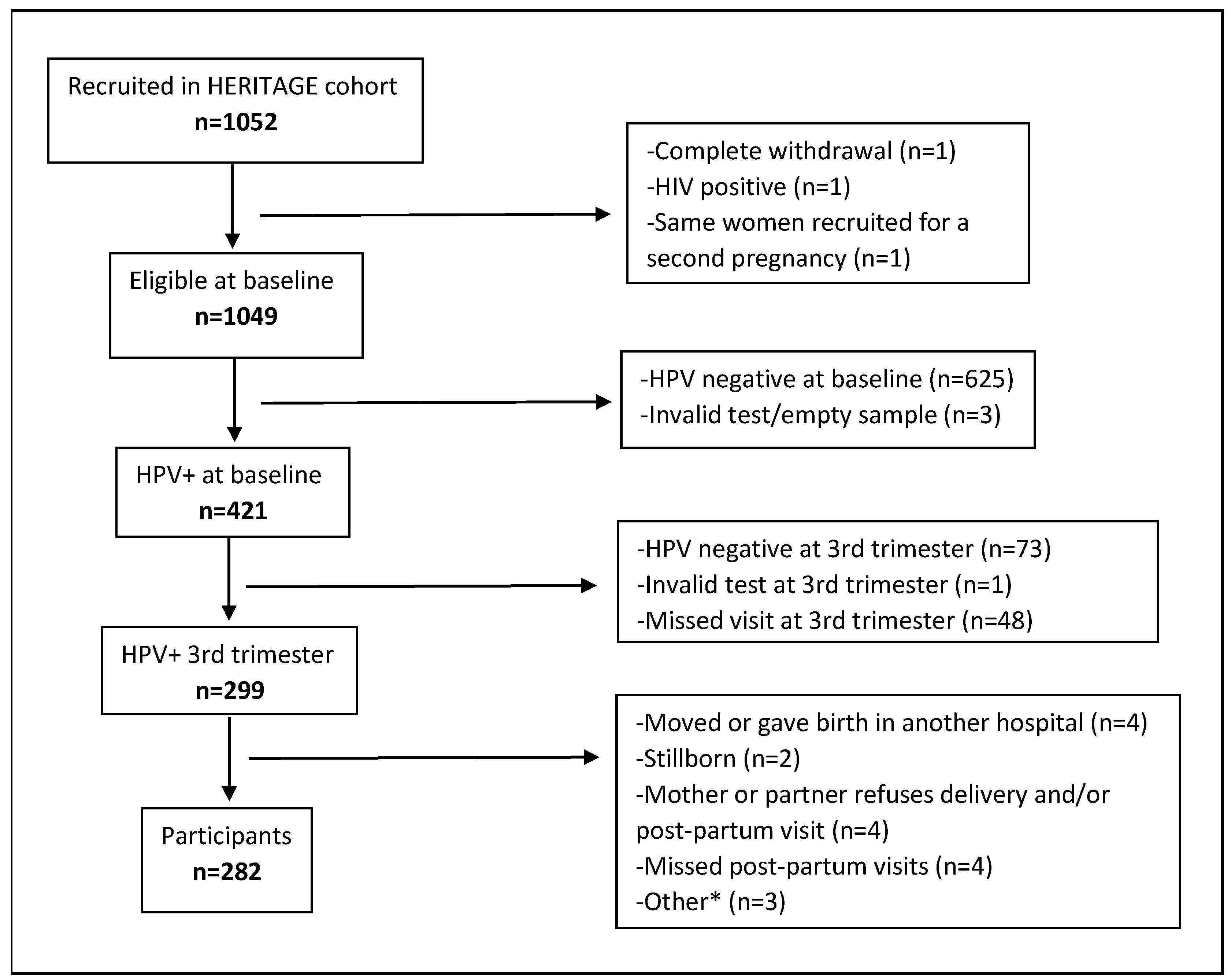 Viruses 16 00303 g001