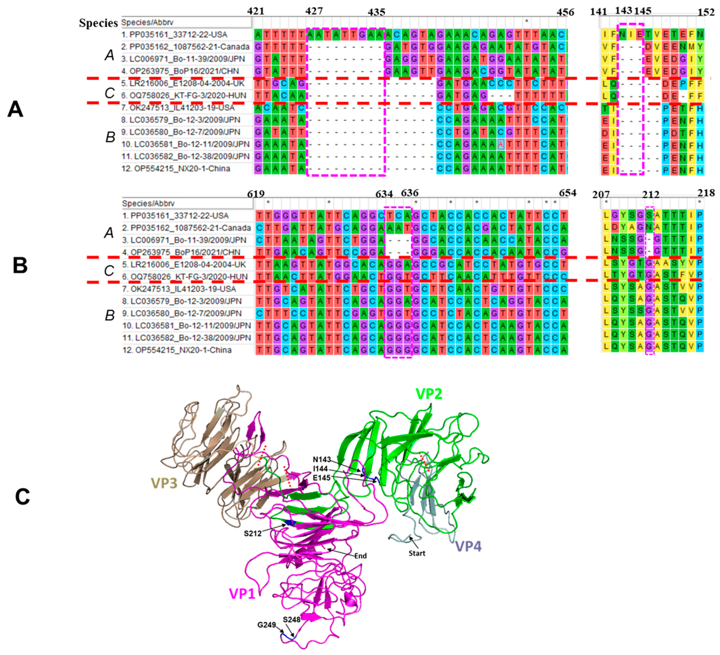 Viruses 16 00307 g003