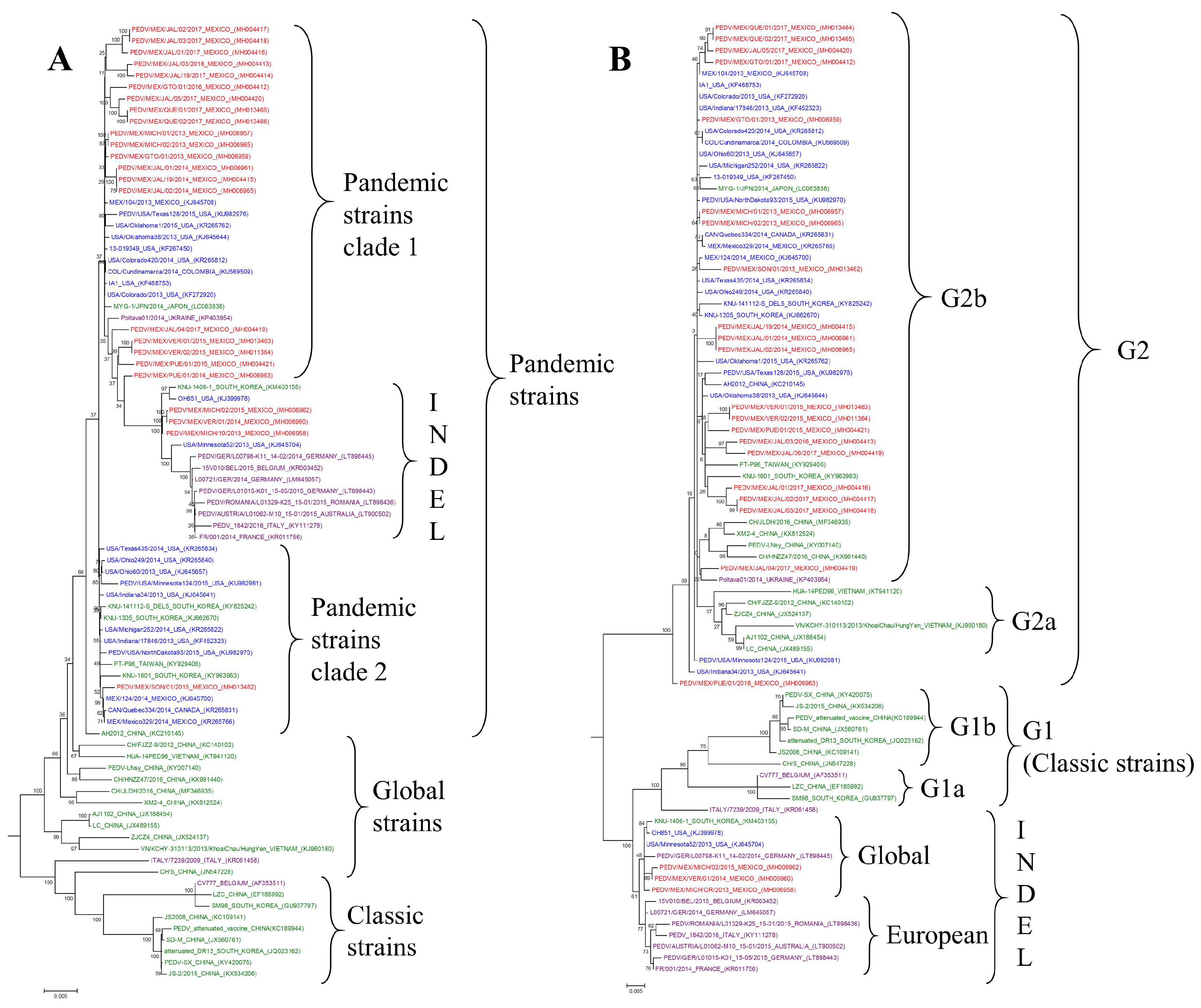 Viruses 16 00309 g002a