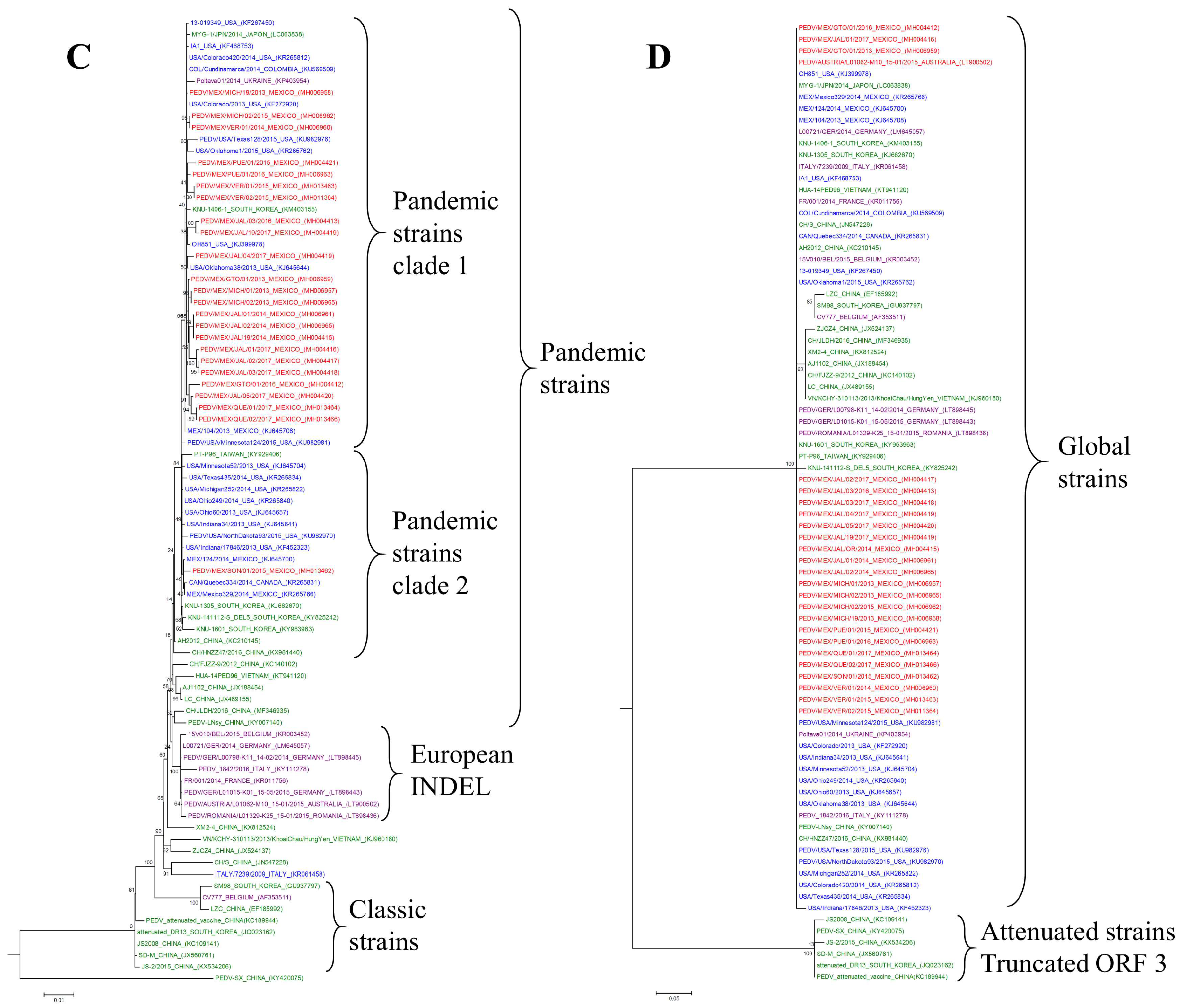 Viruses 16 00309 g002b