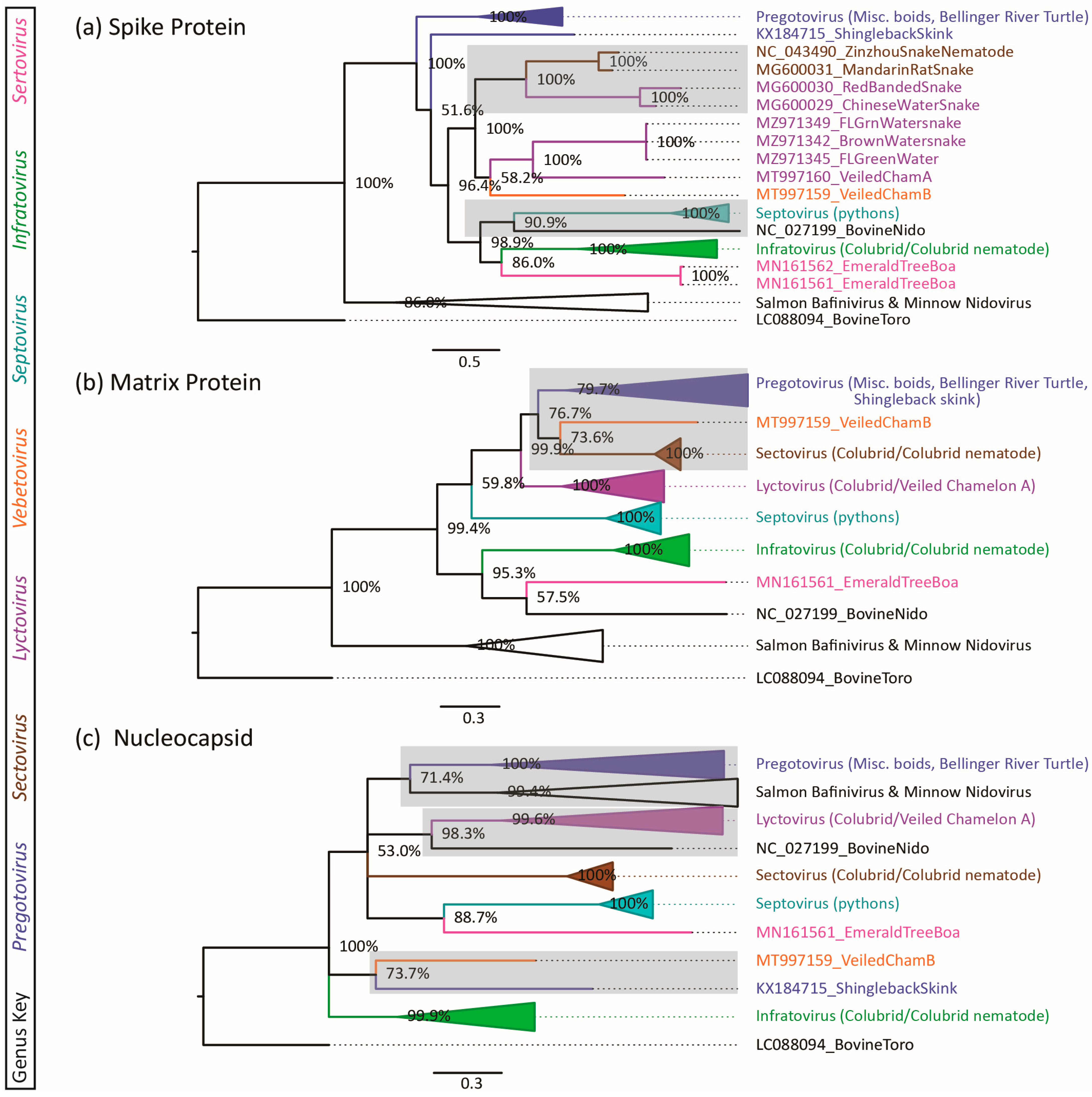 Viruses 16 00310 g003