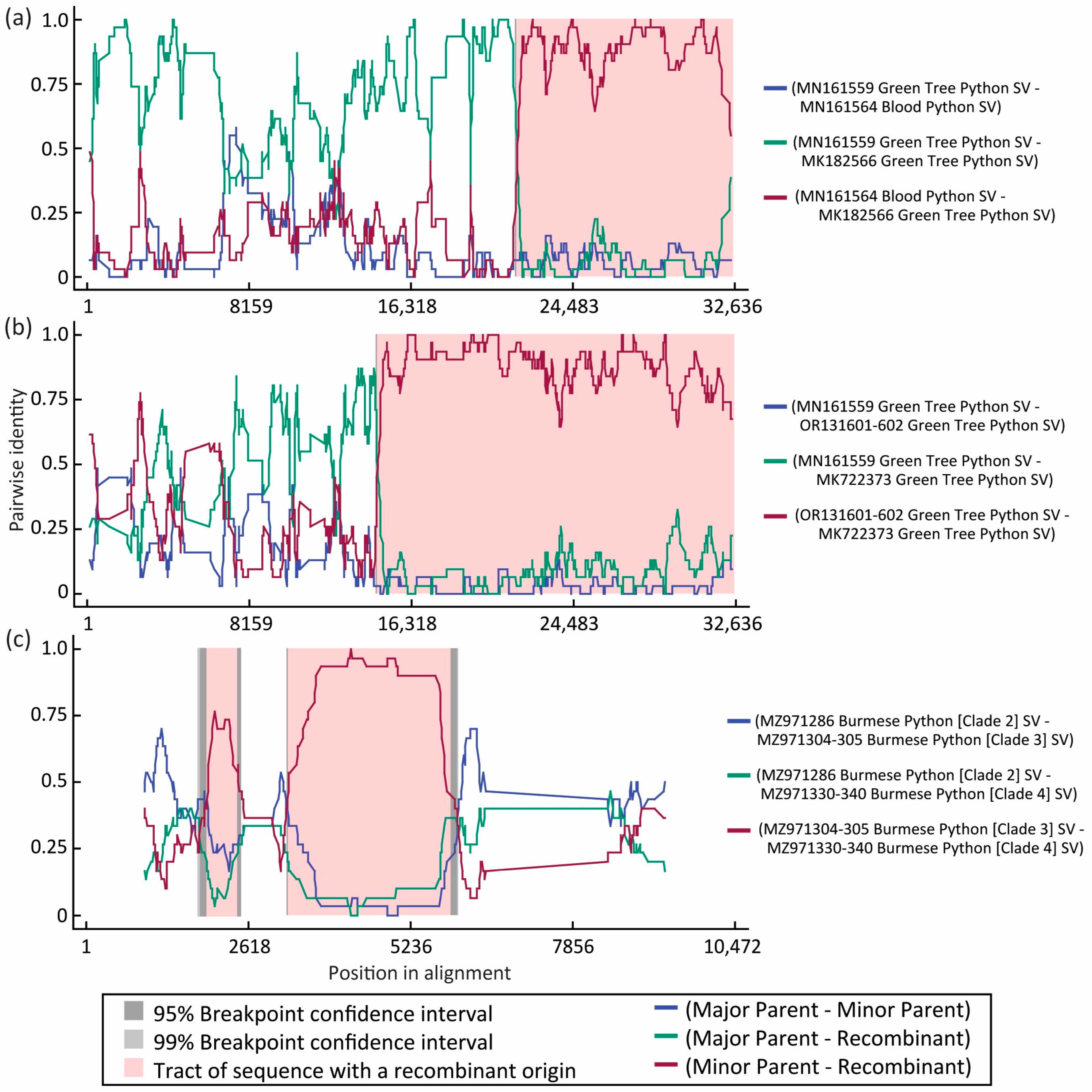 Viruses 16 00310 g004