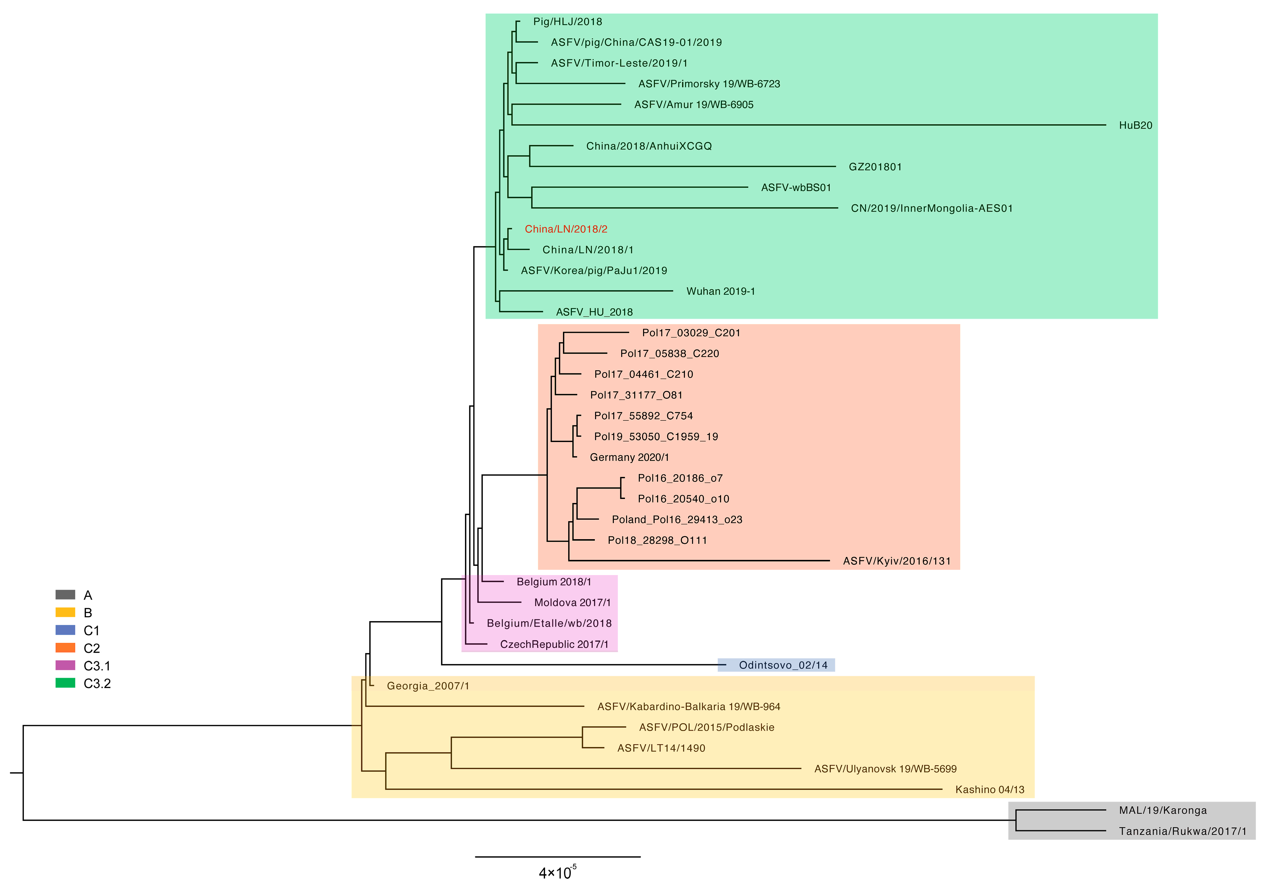 Viruses 16 00312 g004
