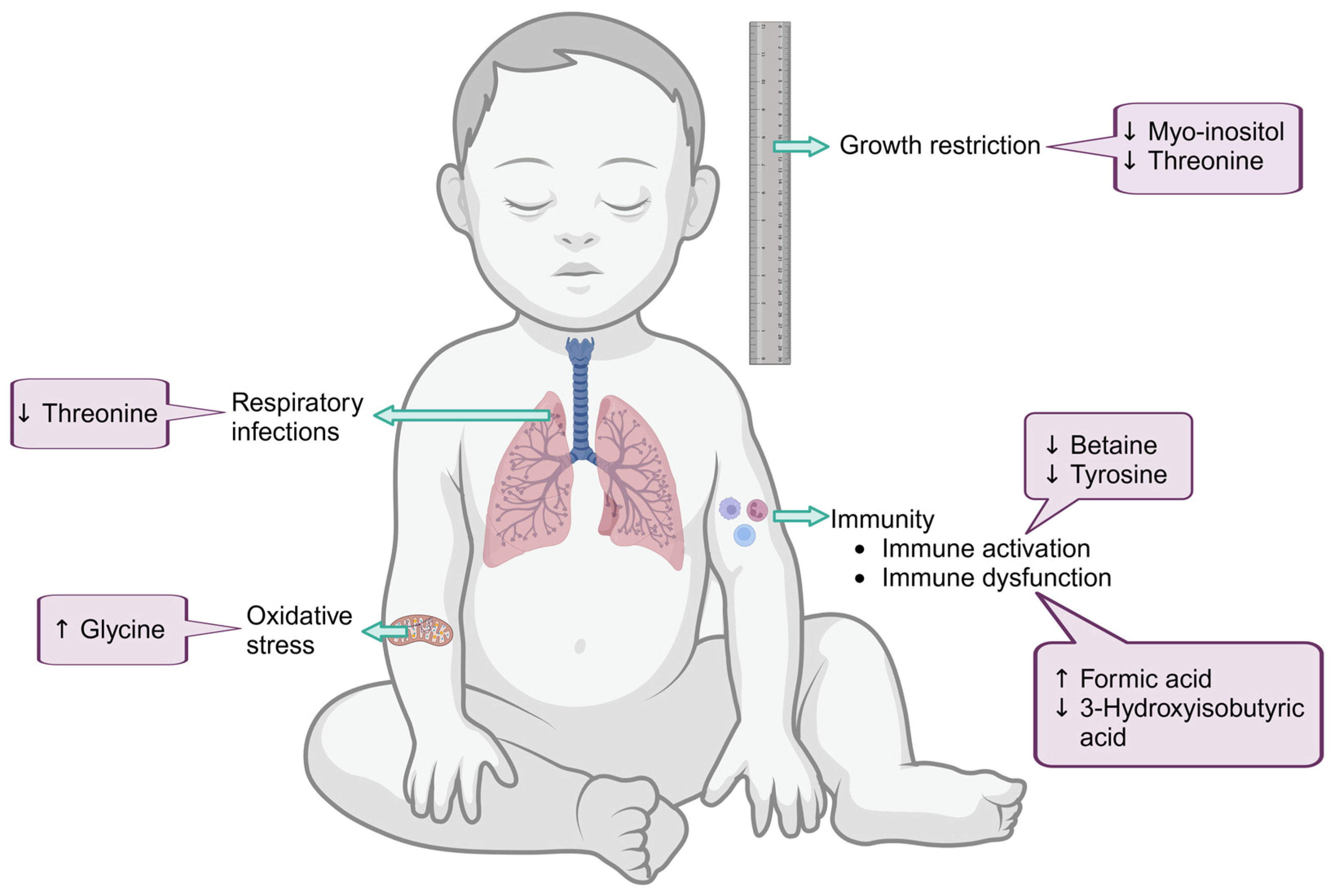Viruses 16 00313 g002