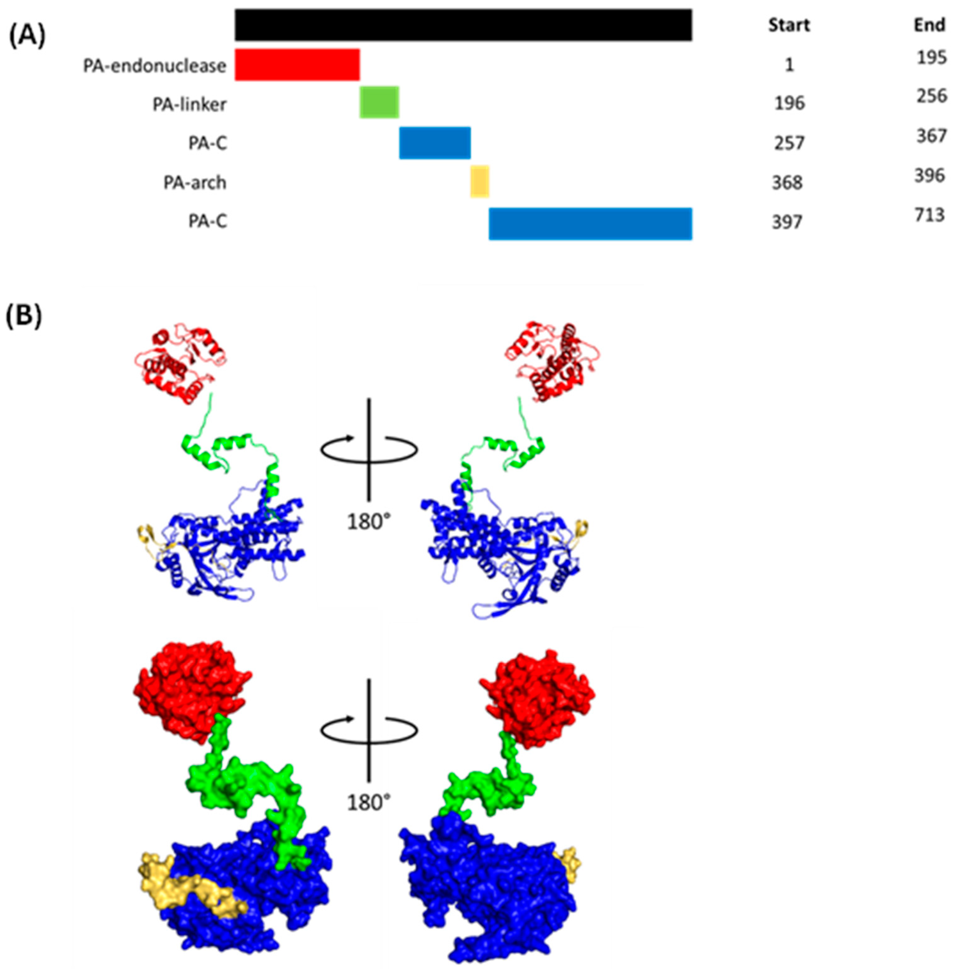 Viruses 16 00316 g008