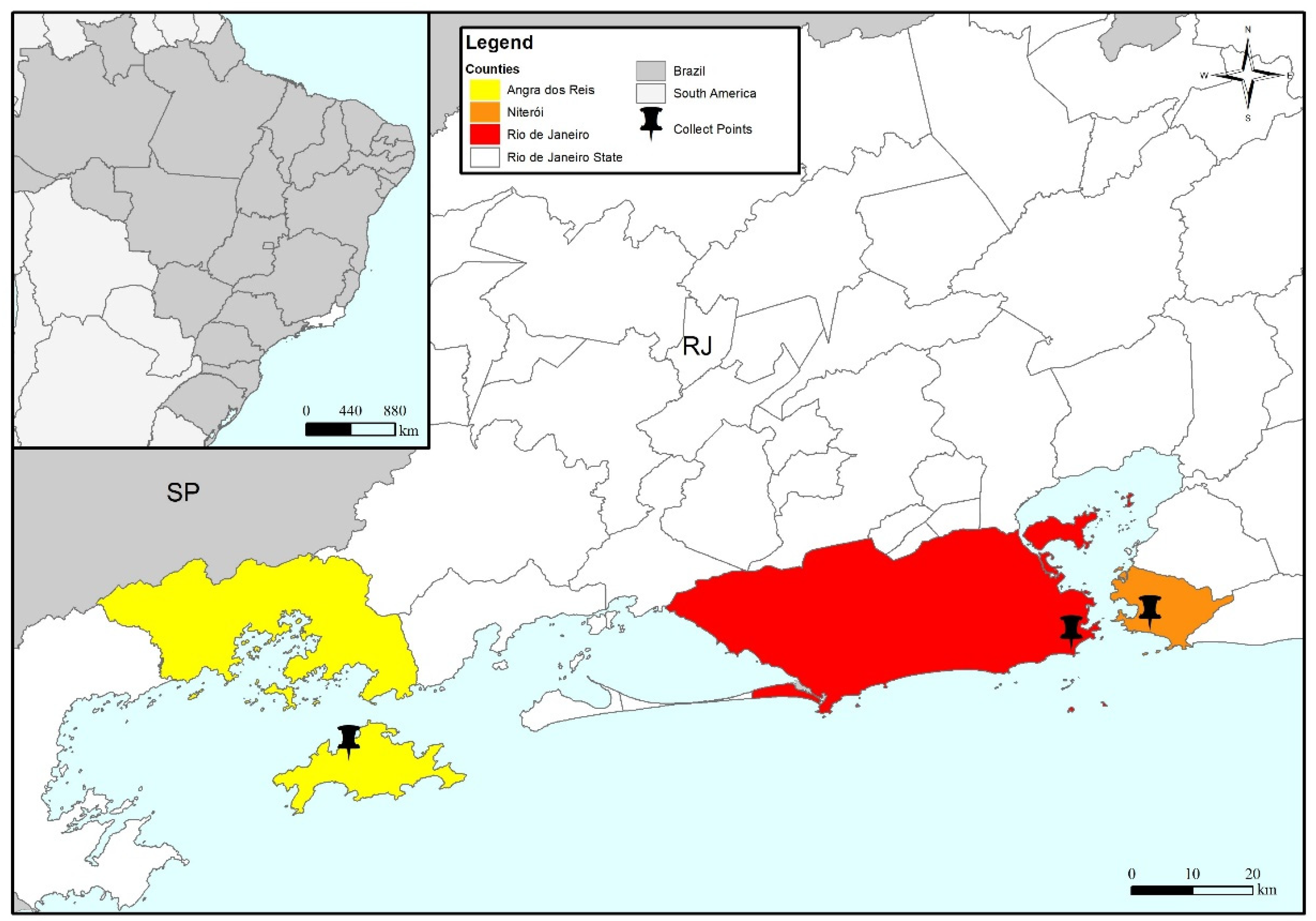 Viruses 16 00317 g001