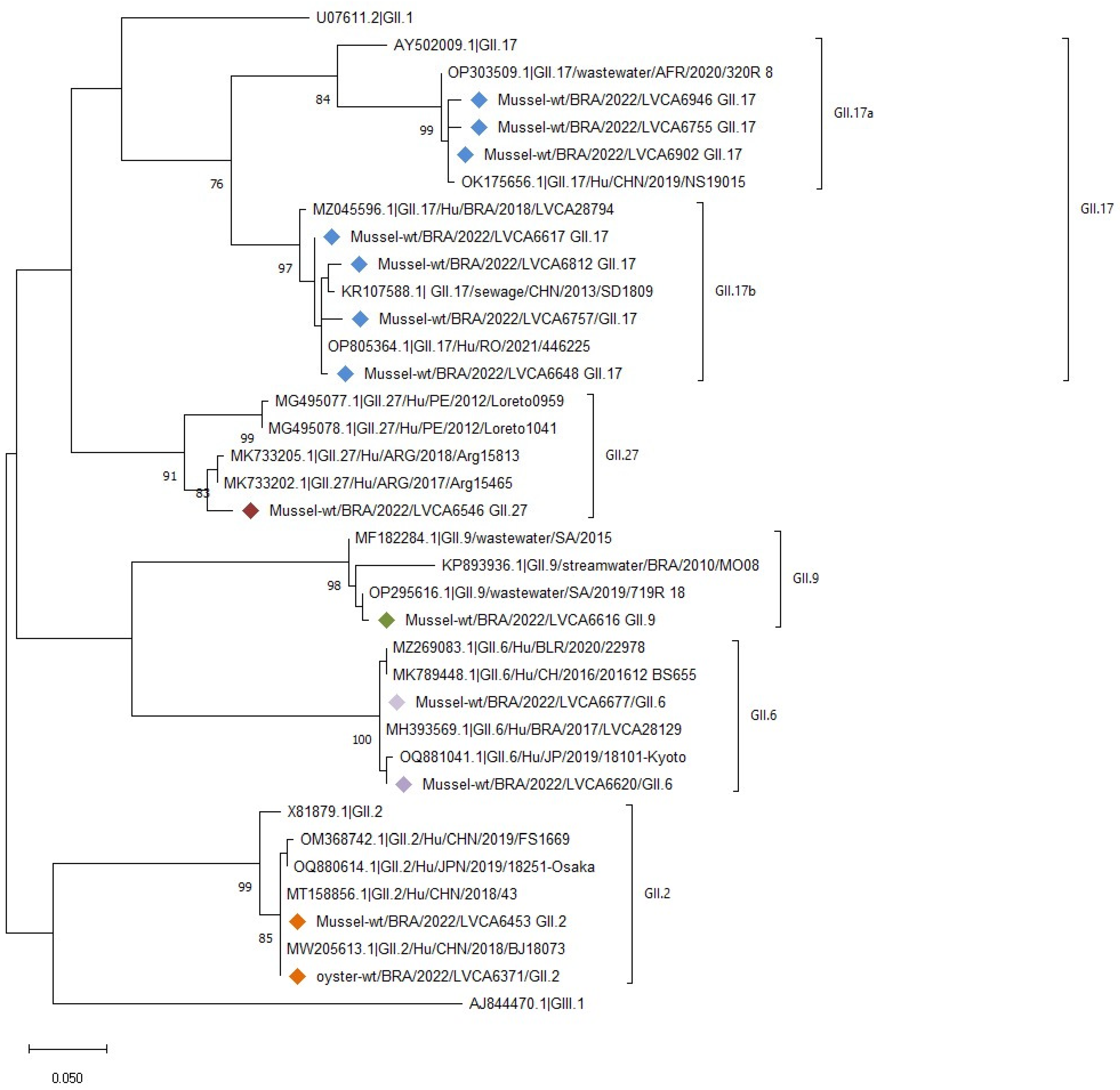 Viruses 16 00317 g004