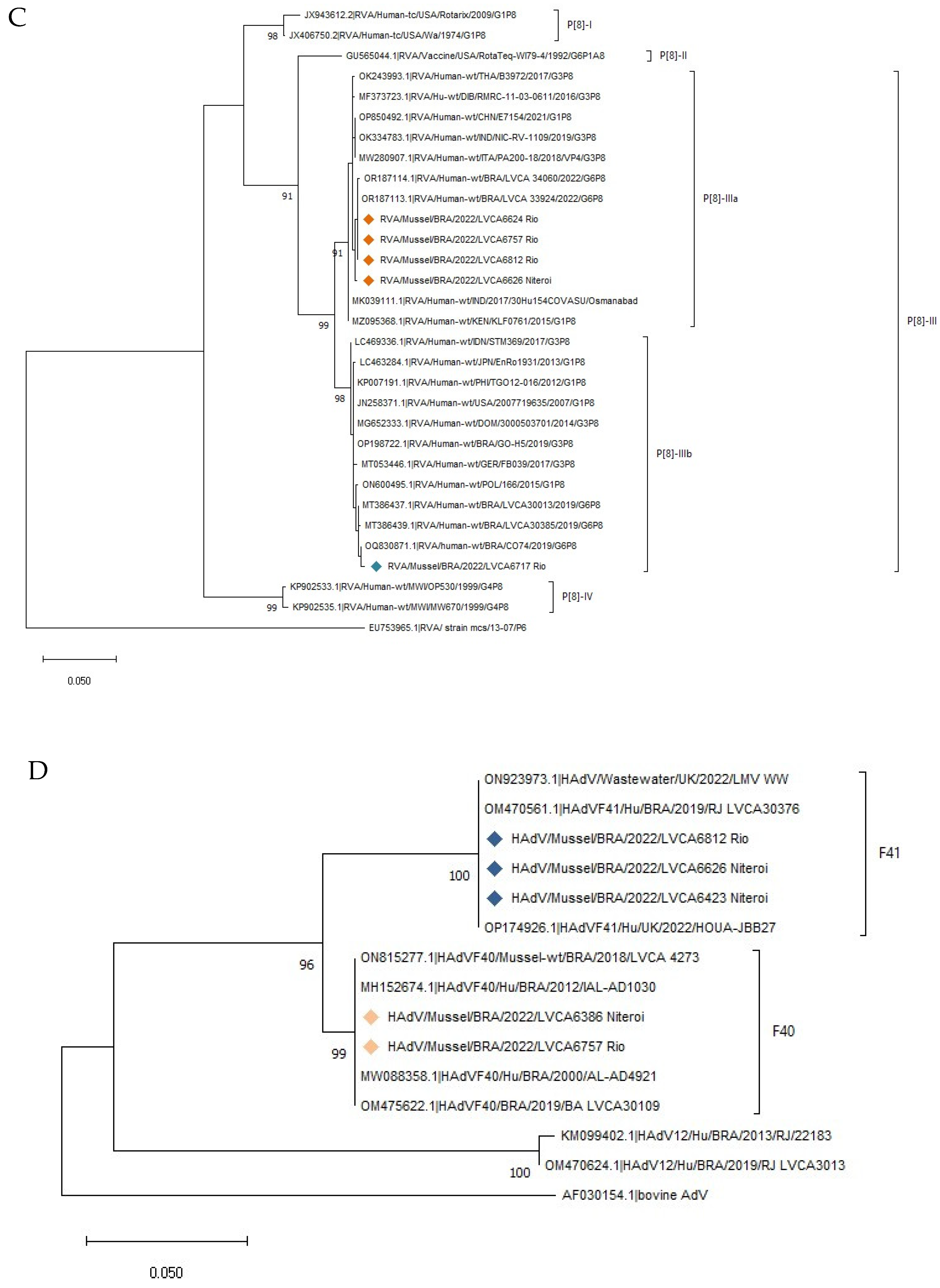 Viruses 16 00317 g005b