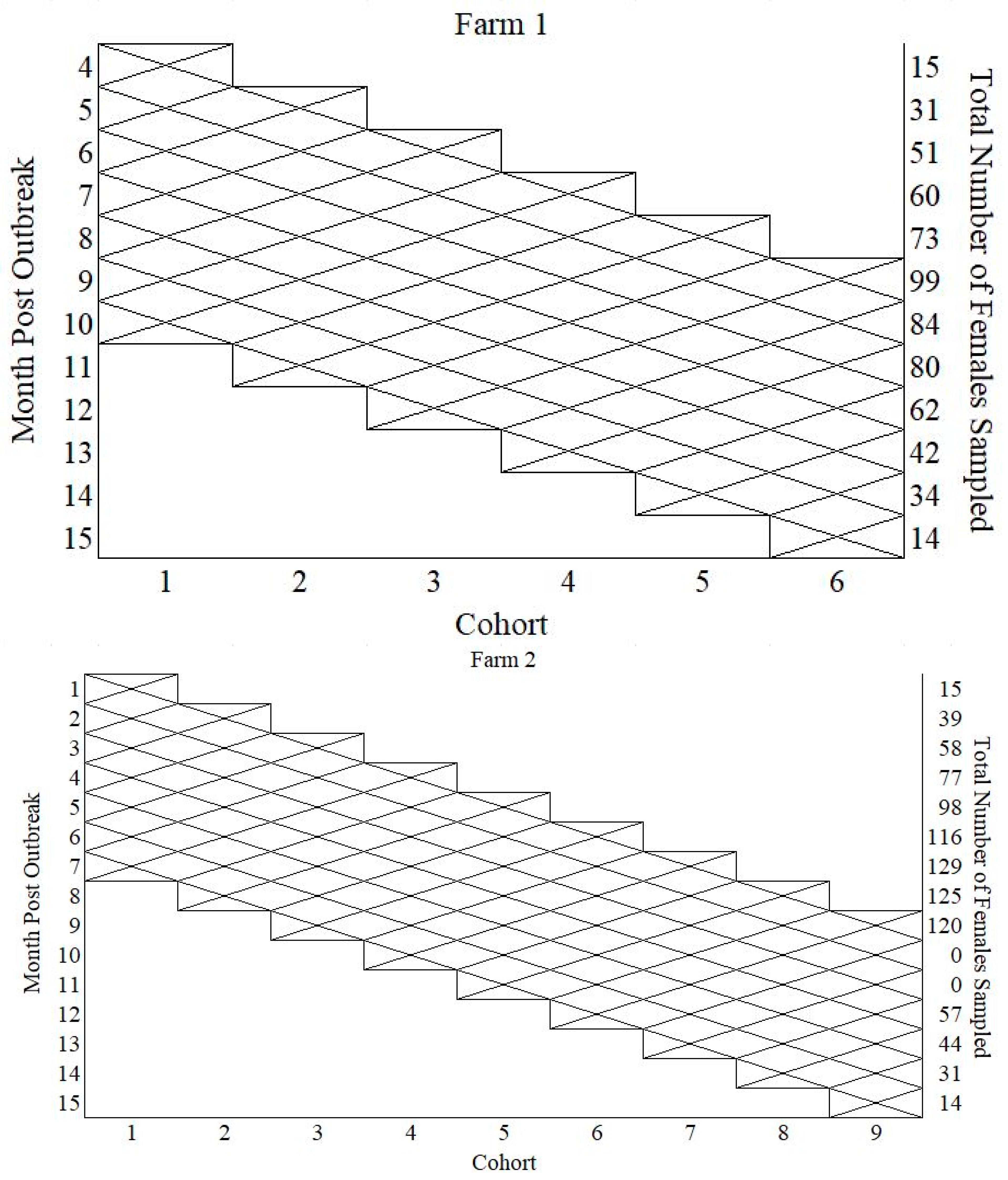 Viruses 16 00324 g002