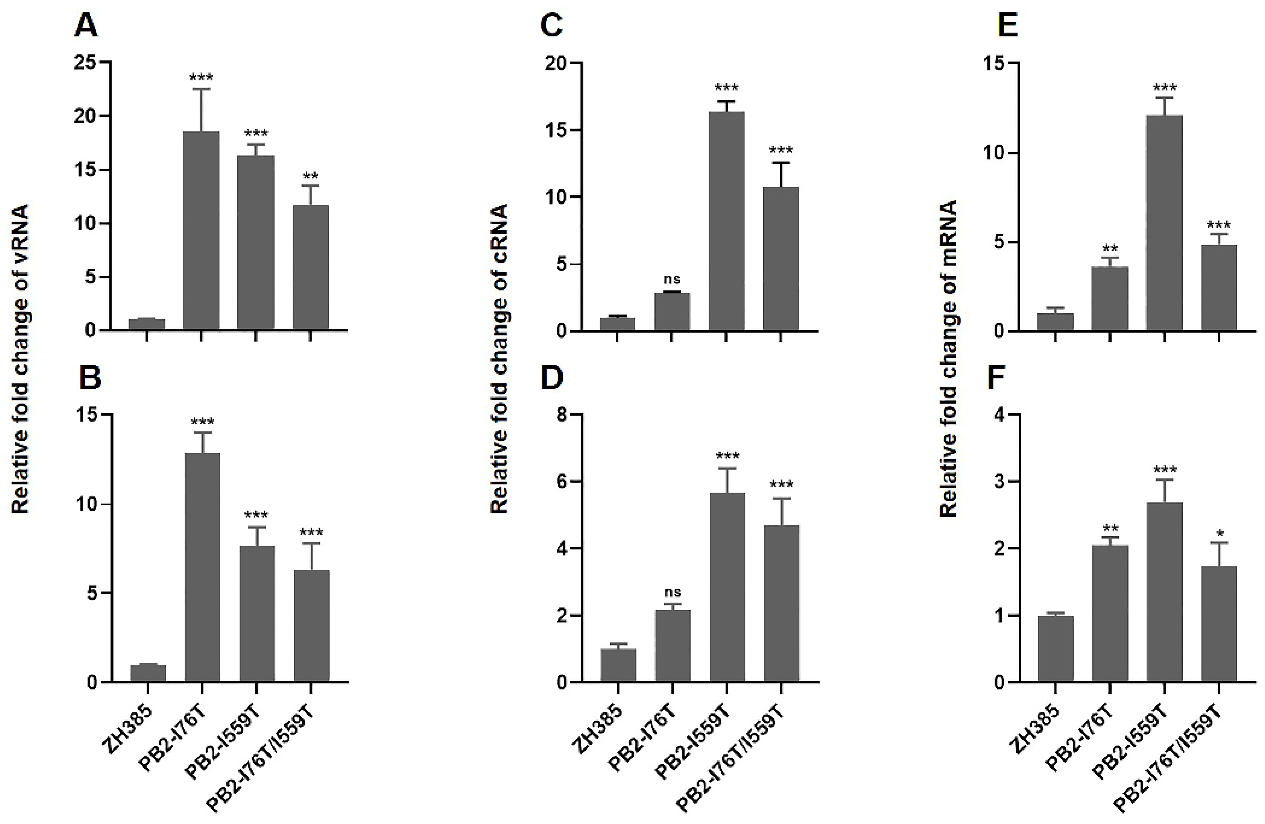 Viruses 16 00329 g004