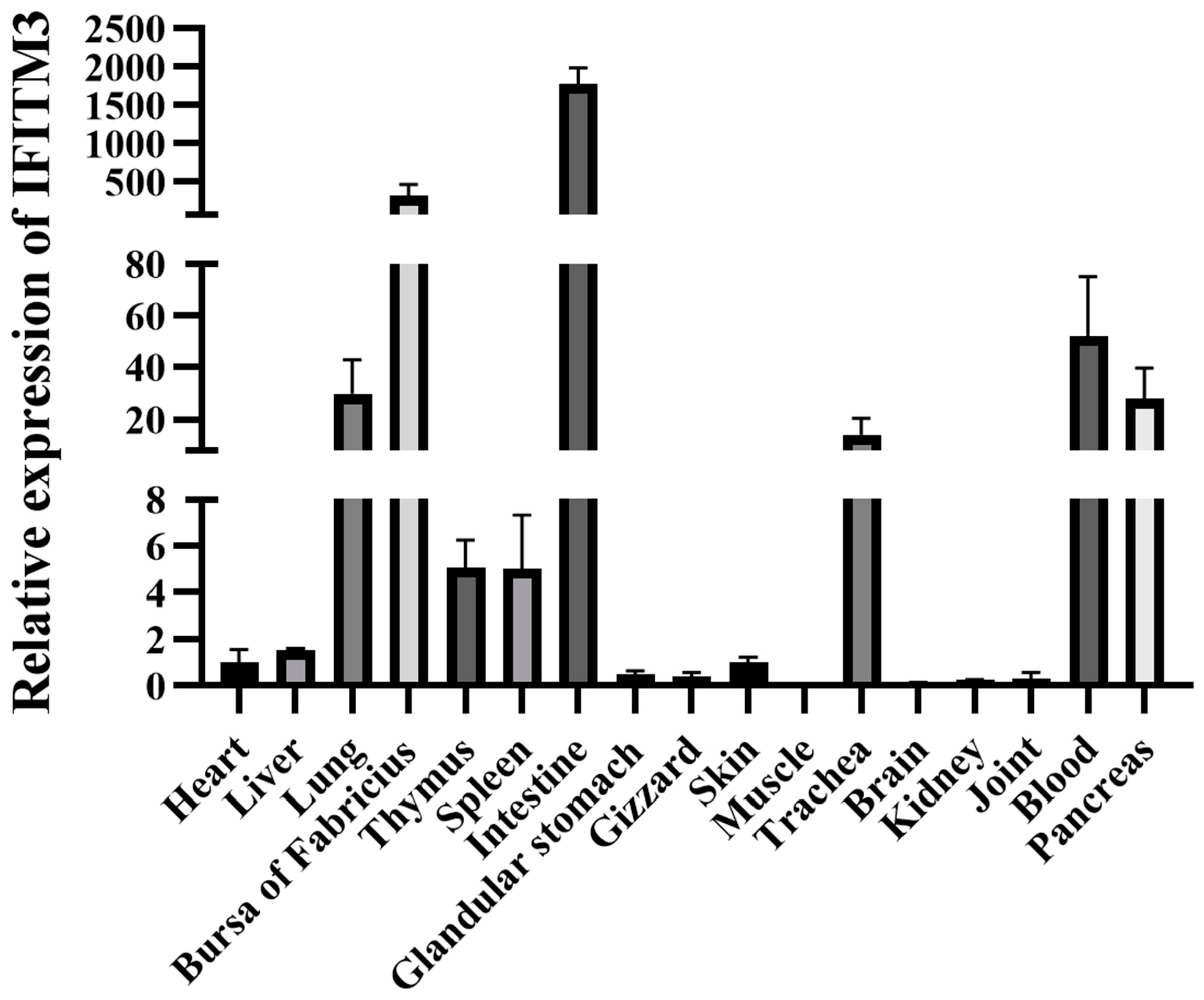 Viruses 16 00330 g005