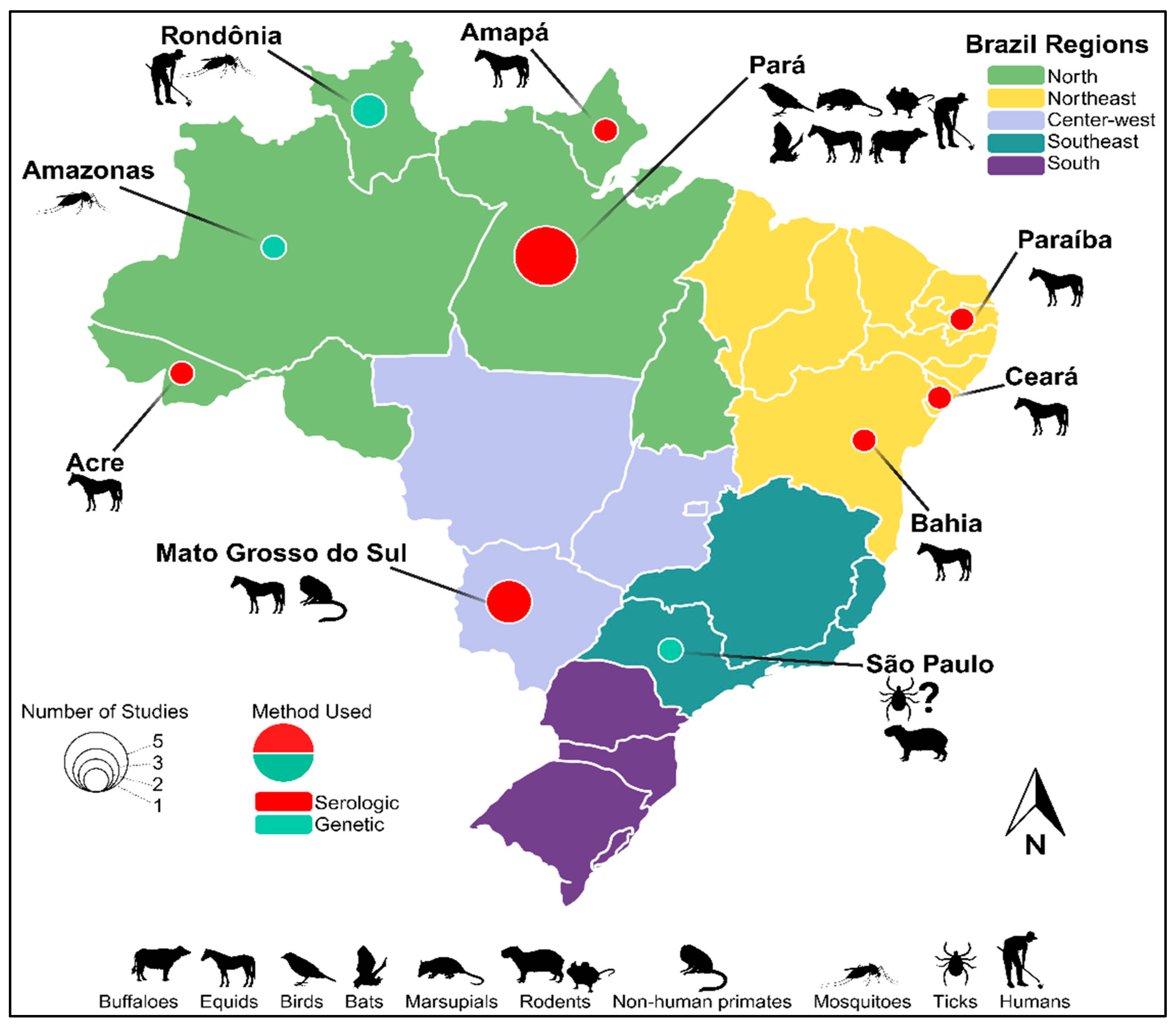 Viruses 16 00336 g001 Viruses 16 00336 g001