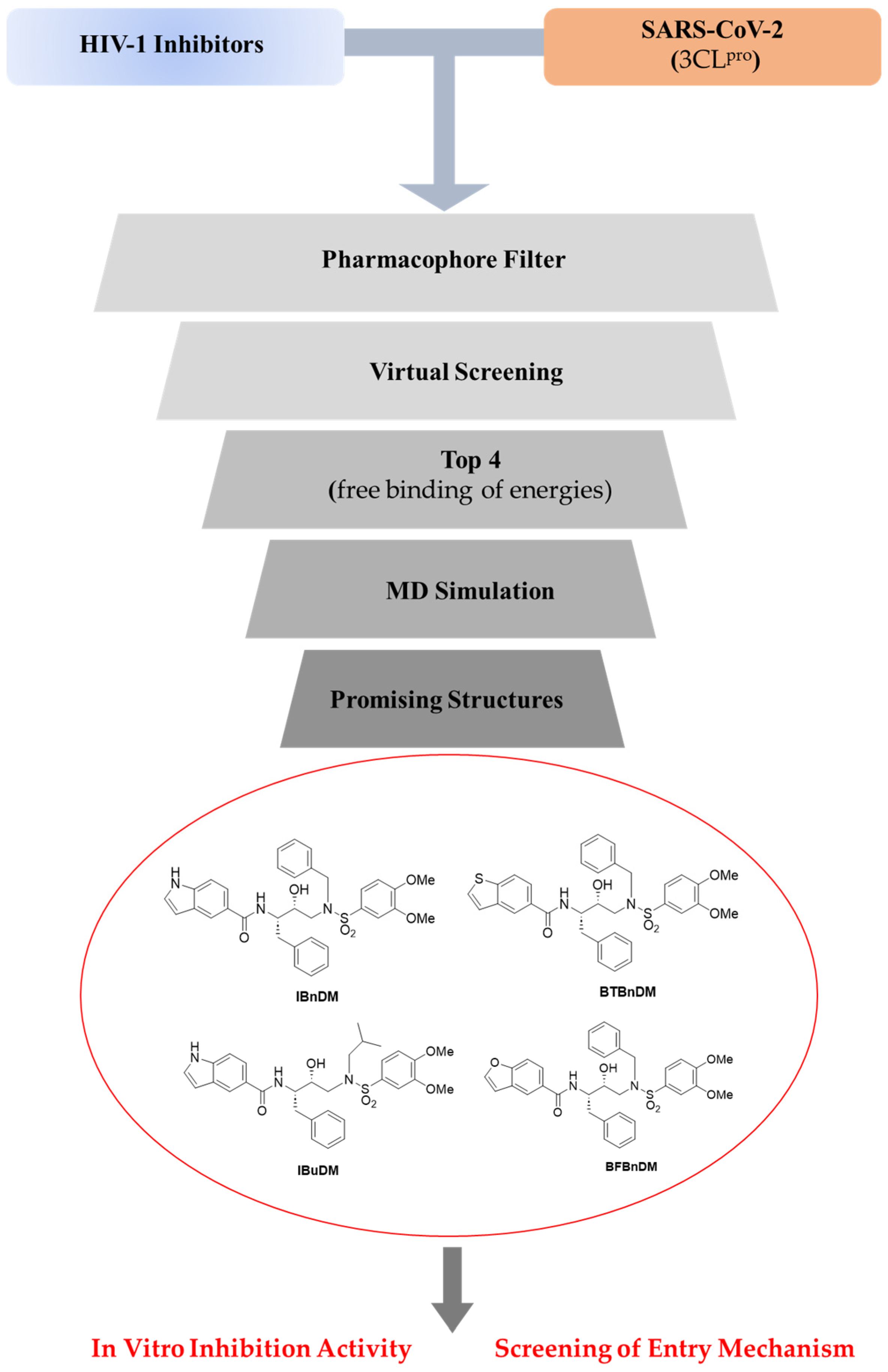 Viruses 16 00338 g001