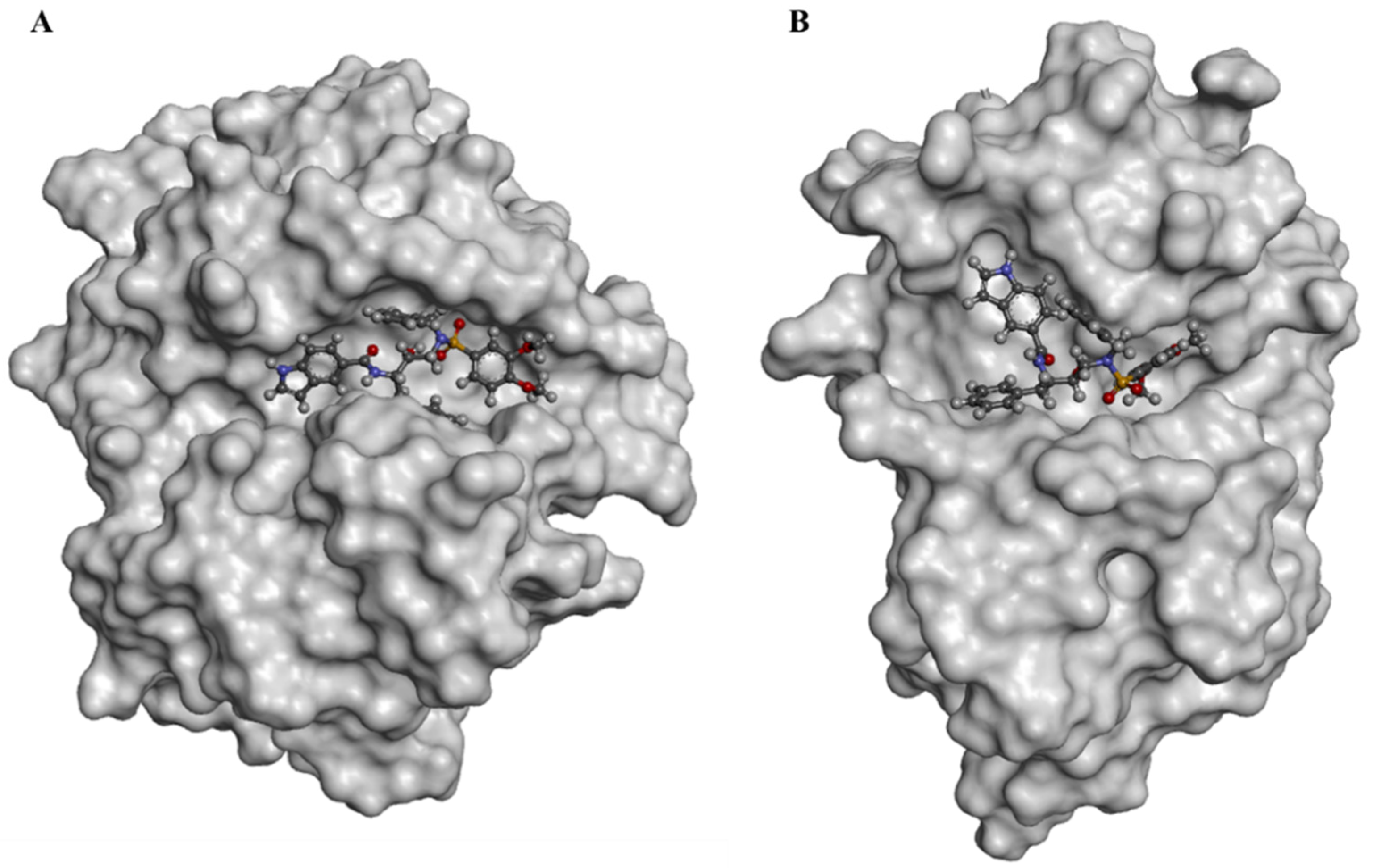 Viruses 16 00338 g003