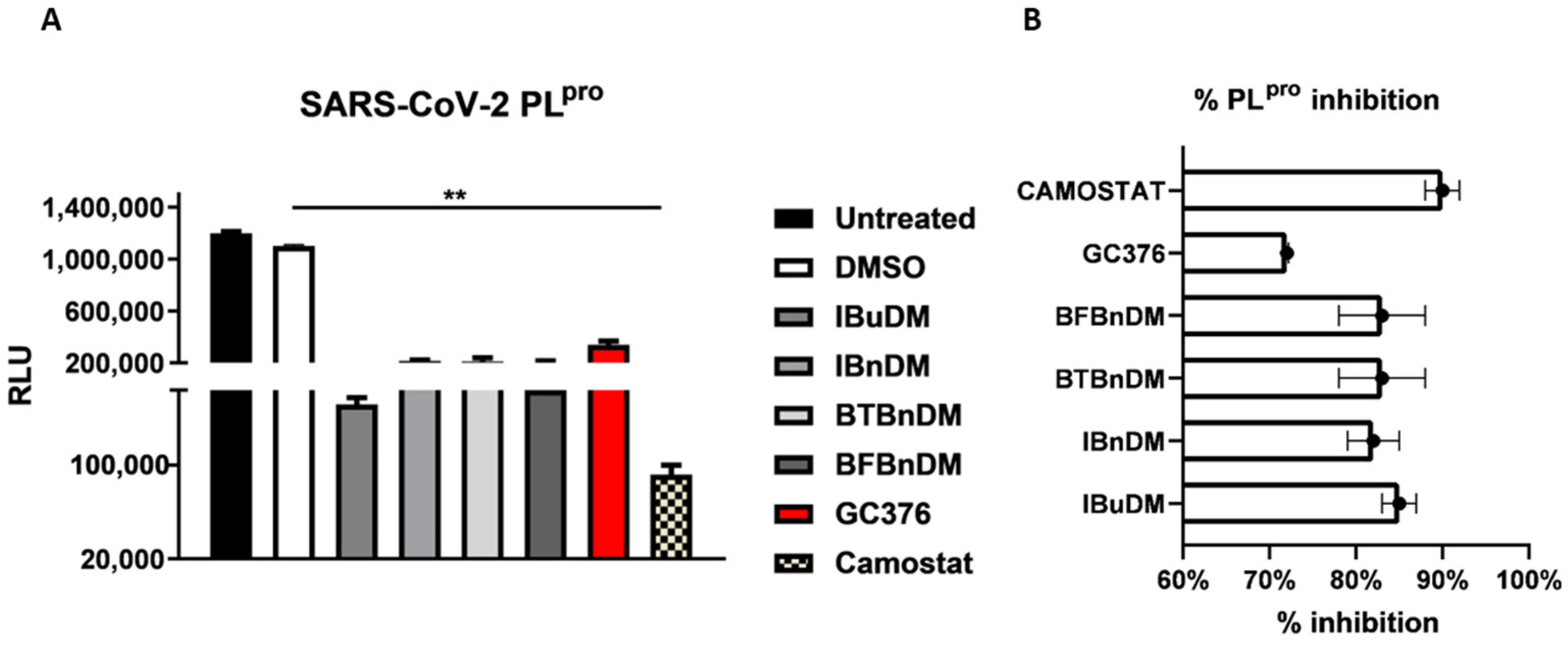 Viruses 16 00338 g005