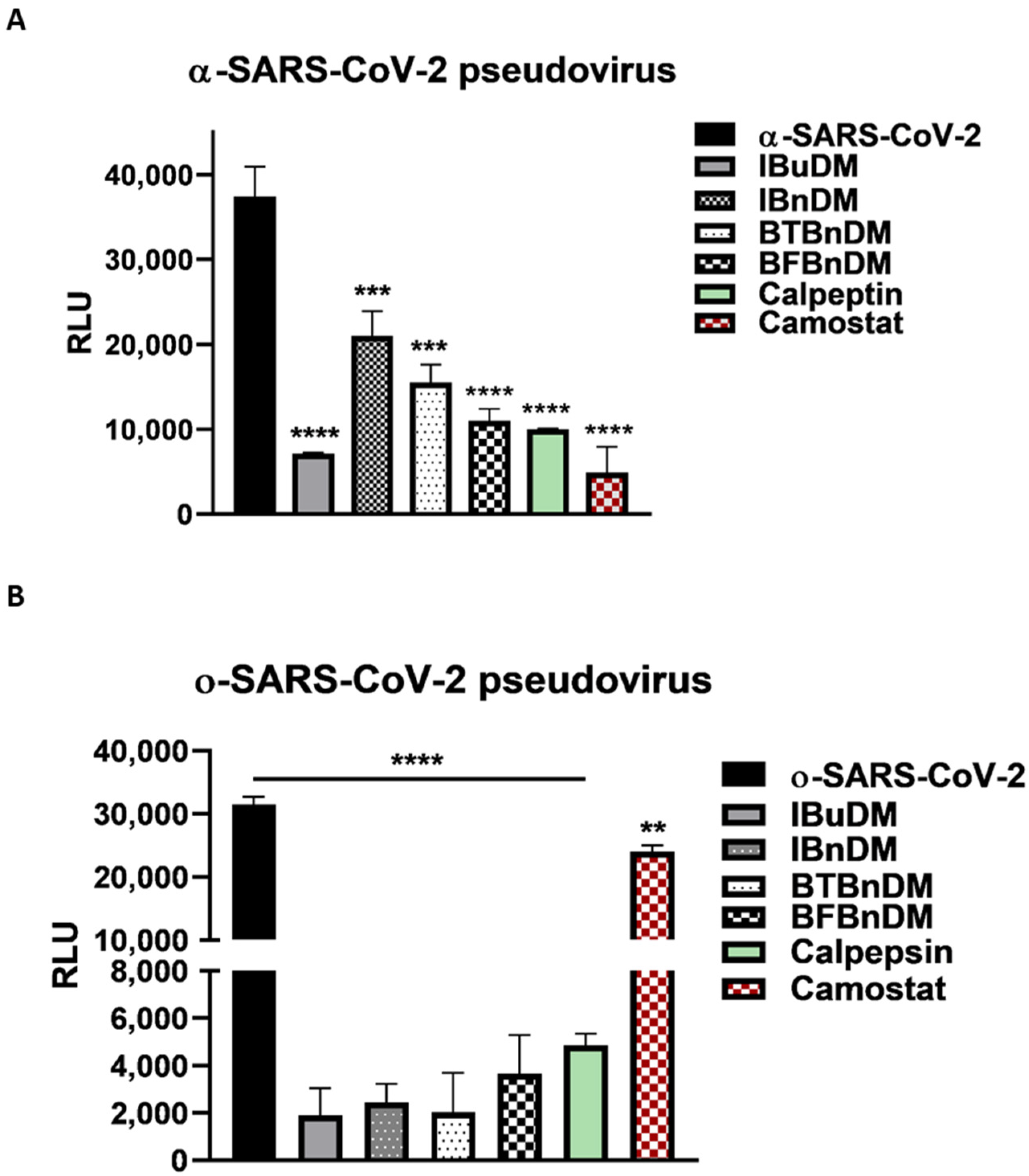 Viruses 16 00338 g006