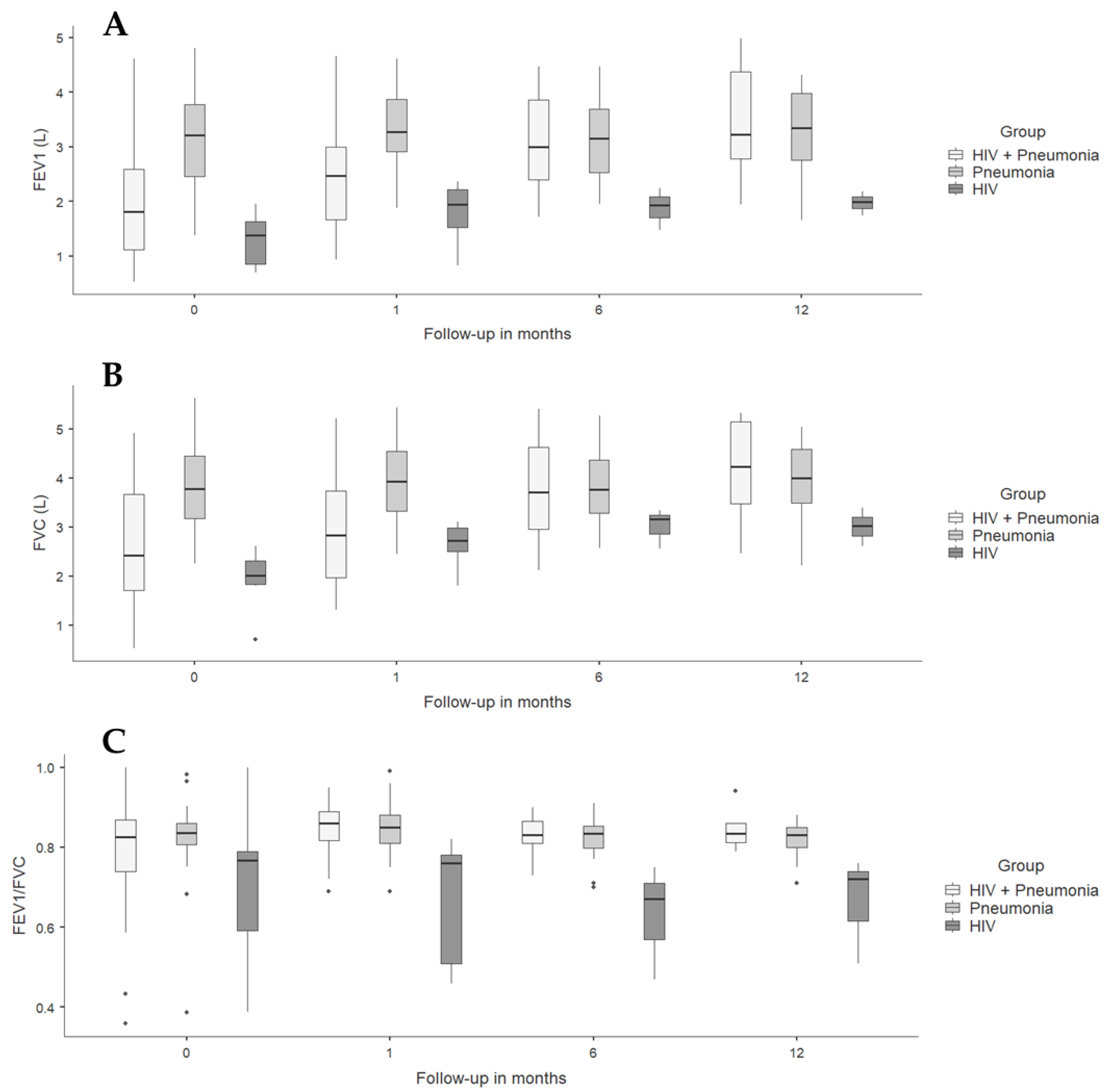 Viruses 16 00344 g002