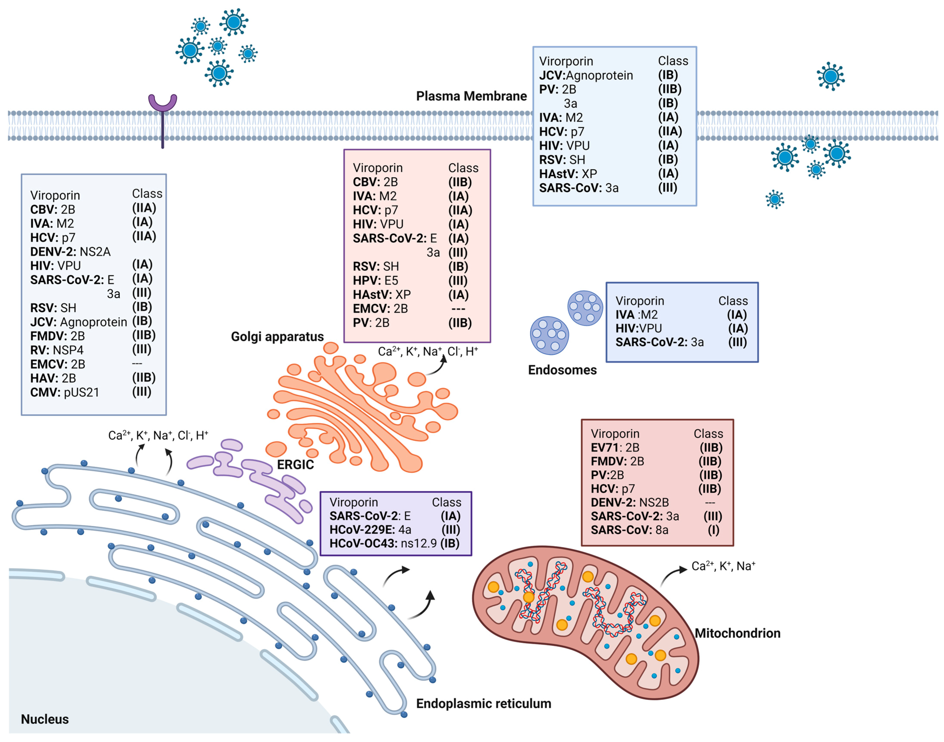 Viruses 16 00345 g002 Viruses 16 00345 g002