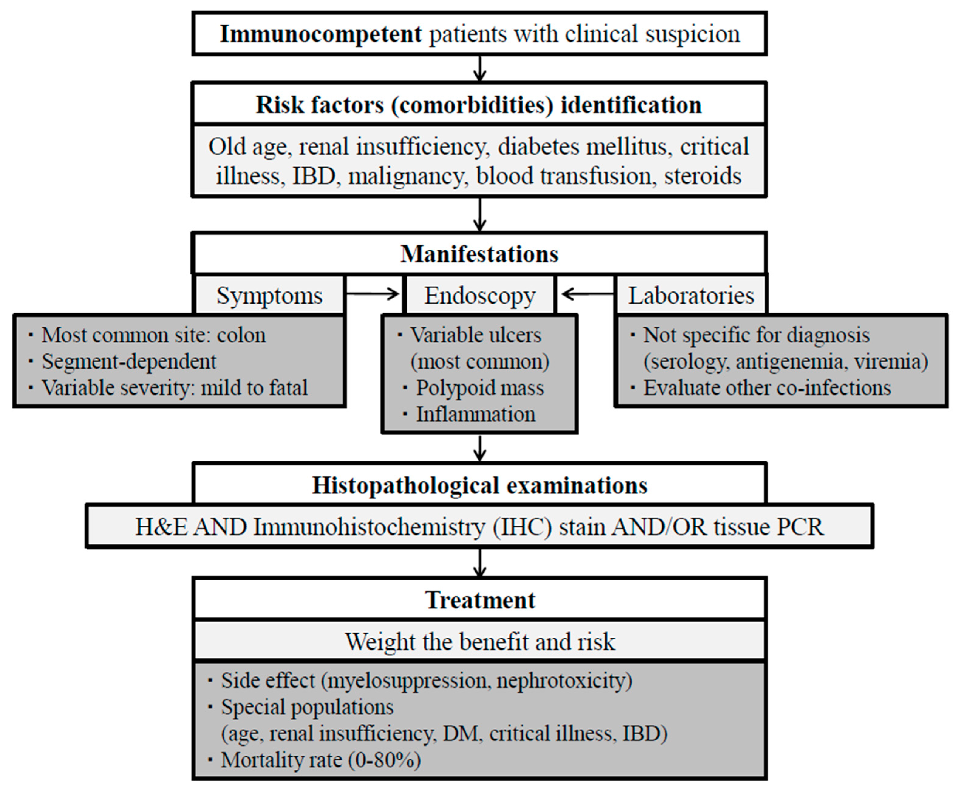 Viruses 16 00346 g002
