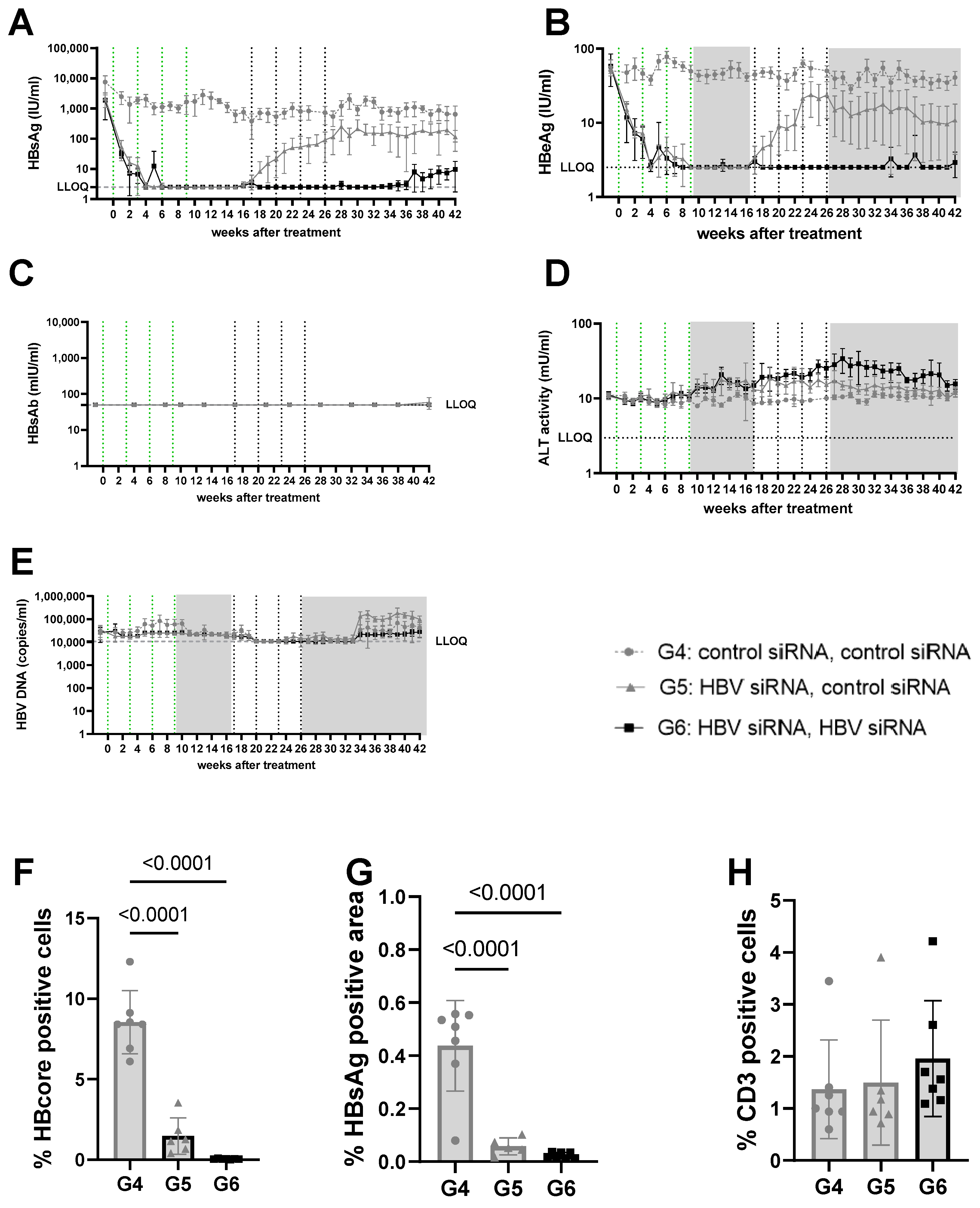 Viruses 16 00347 g003