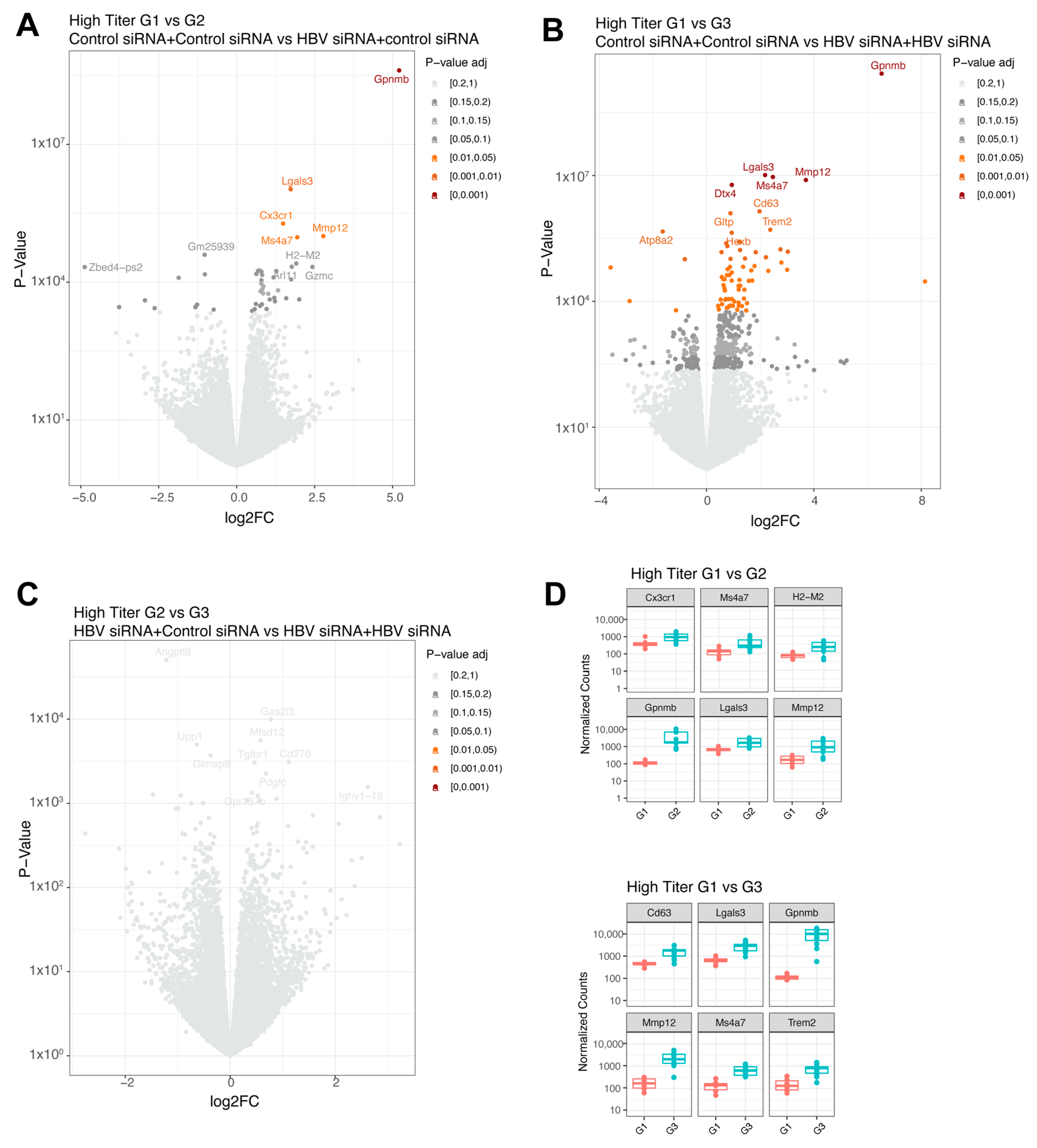 Viruses 16 00347 g004