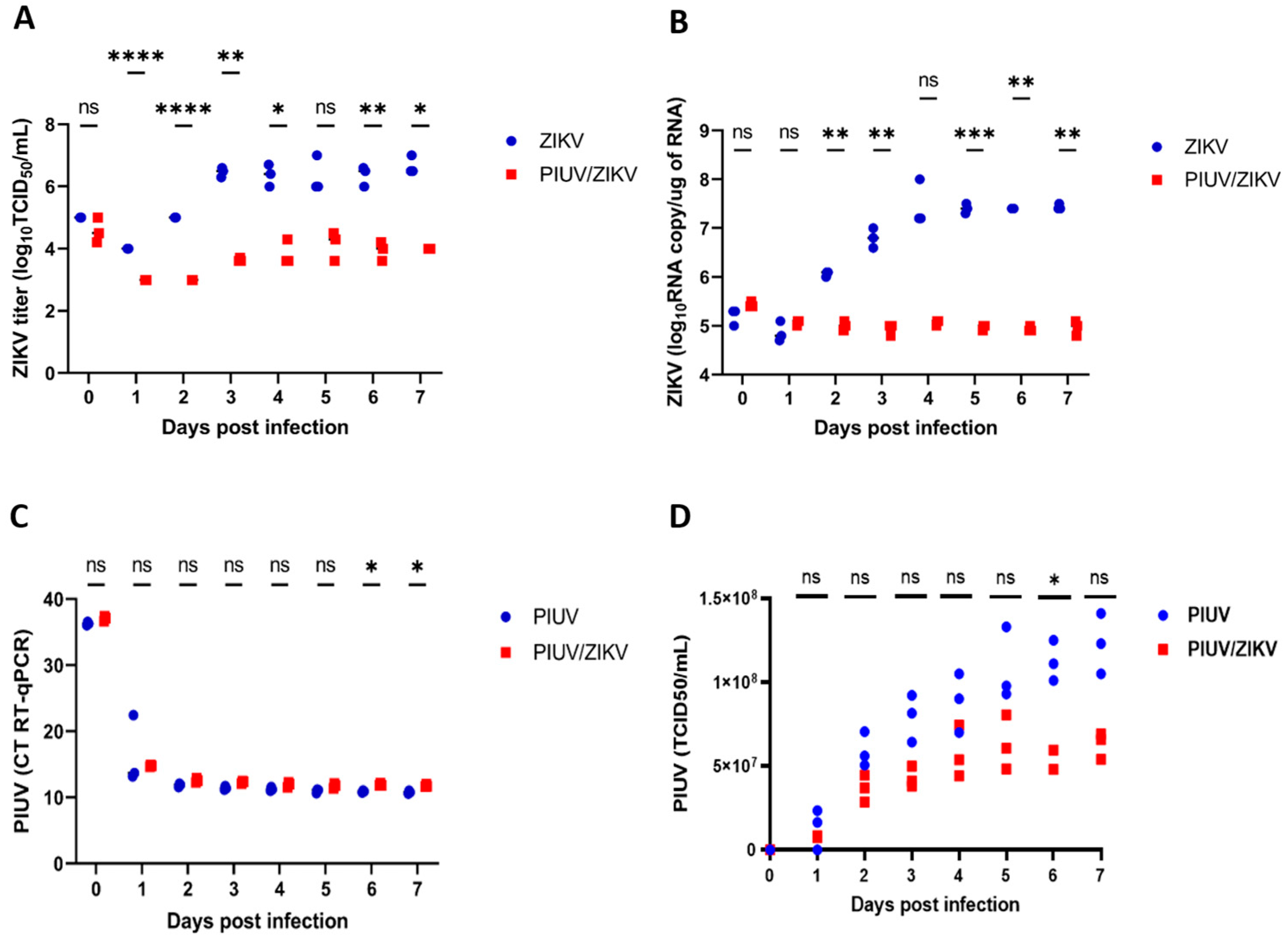 Viruses 16 00350 g002