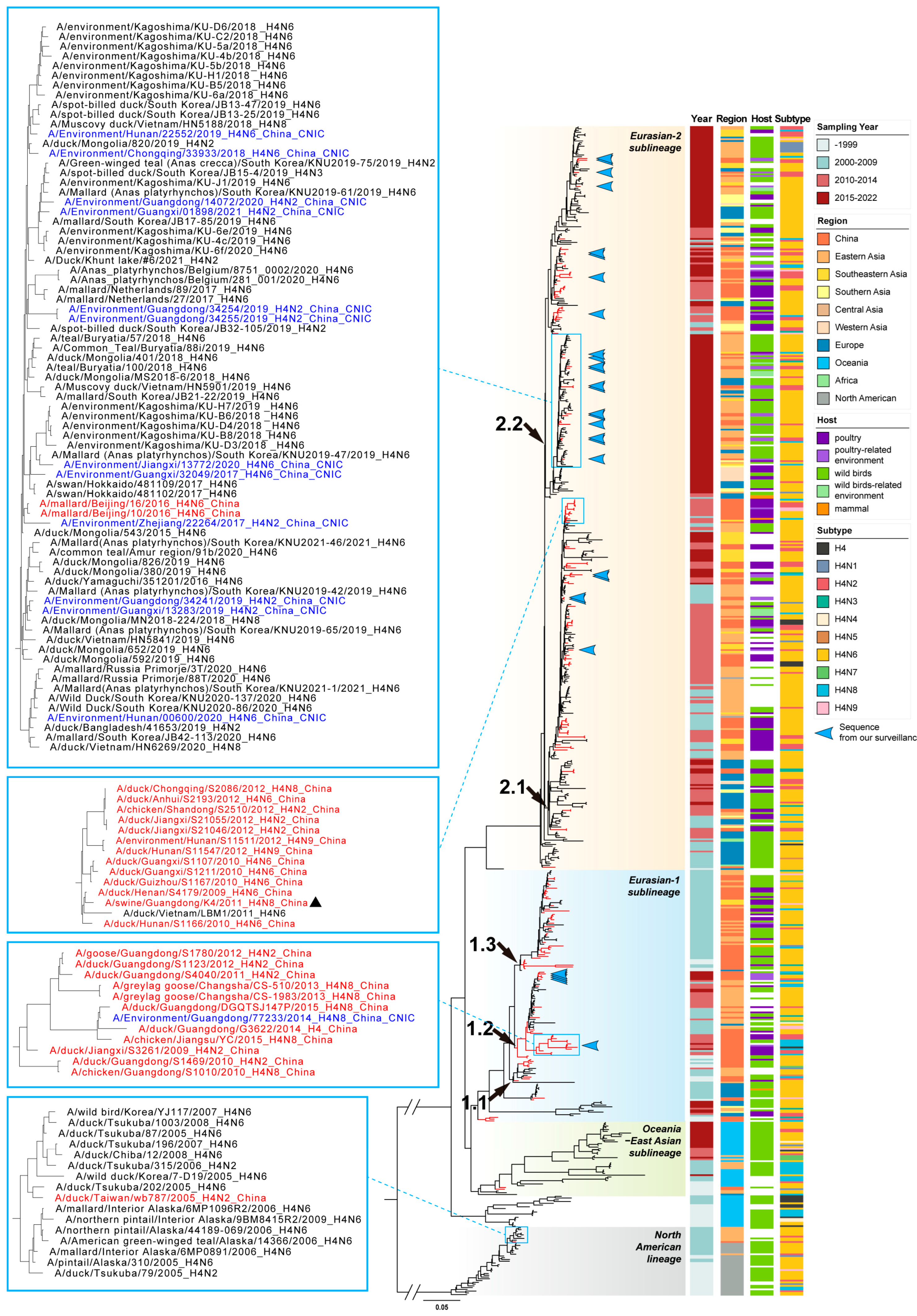 Viruses 16 00353 g002