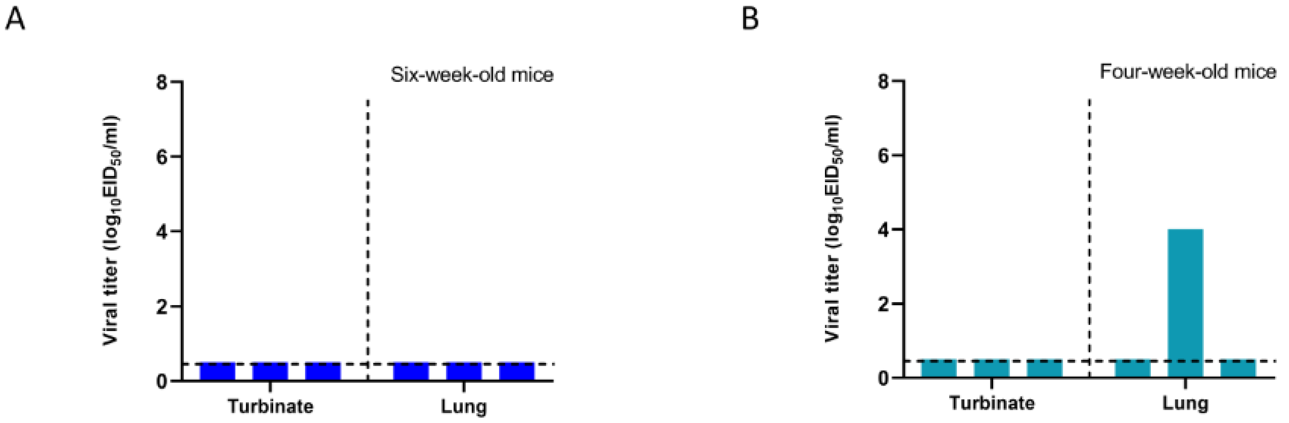 Viruses 16 00357 g001 Viruses 16 00357 g001