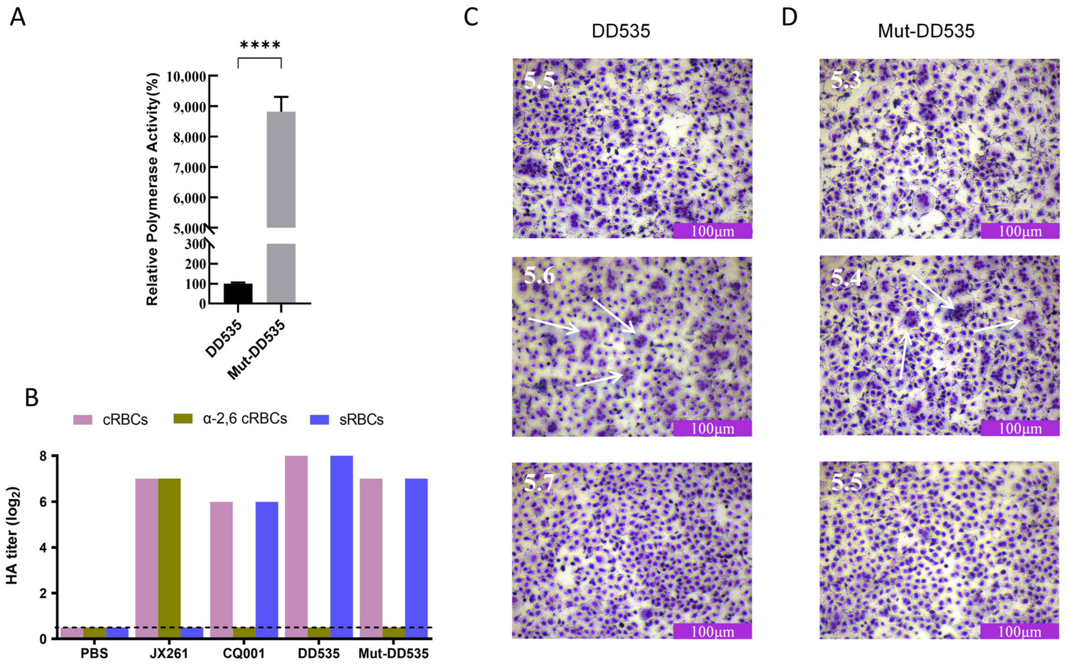 Viruses 16 00357 g005 Viruses 16 00357 g005