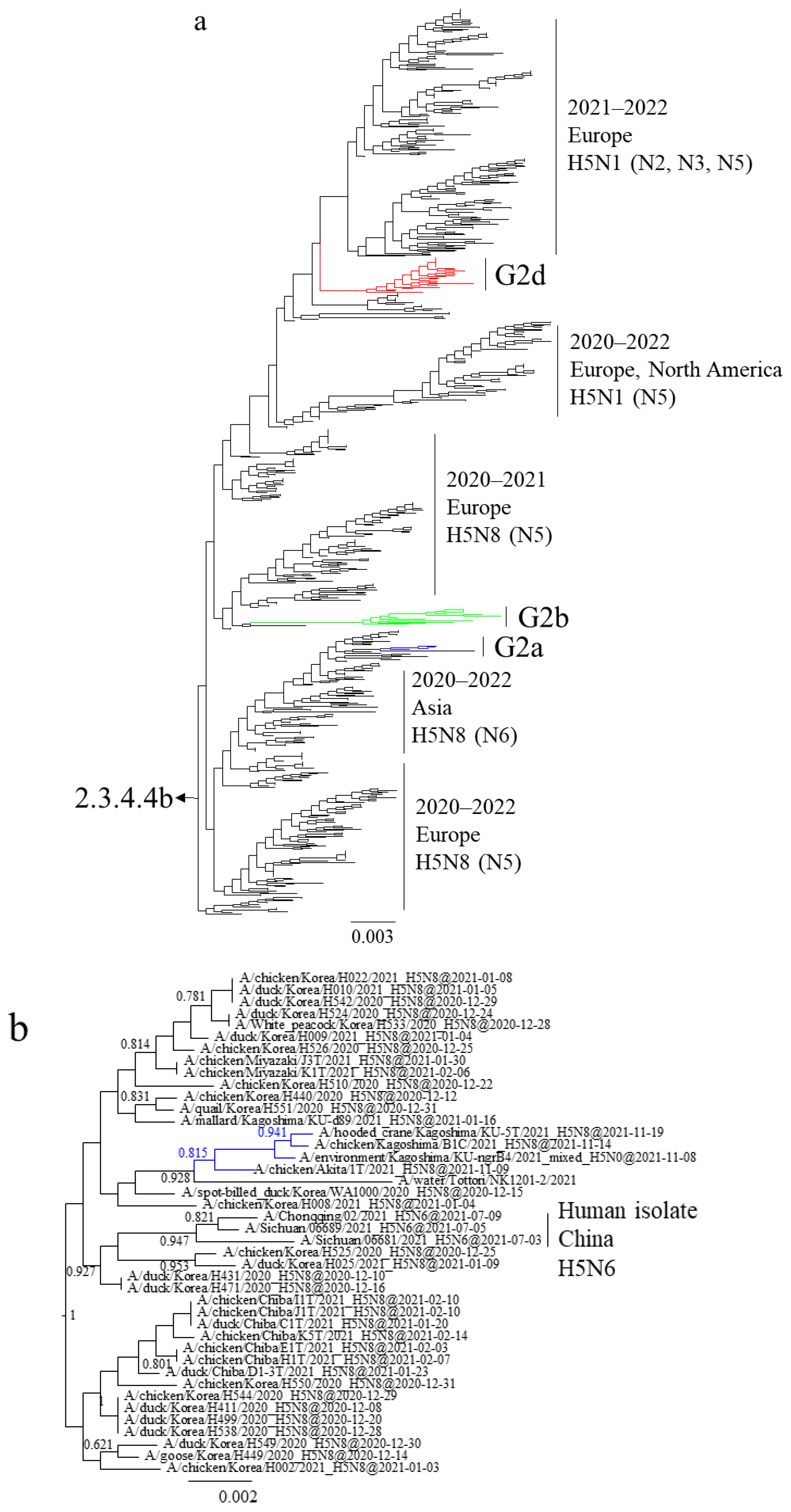 Viruses 16 00358 g001a Viruses 16 00358 g001a