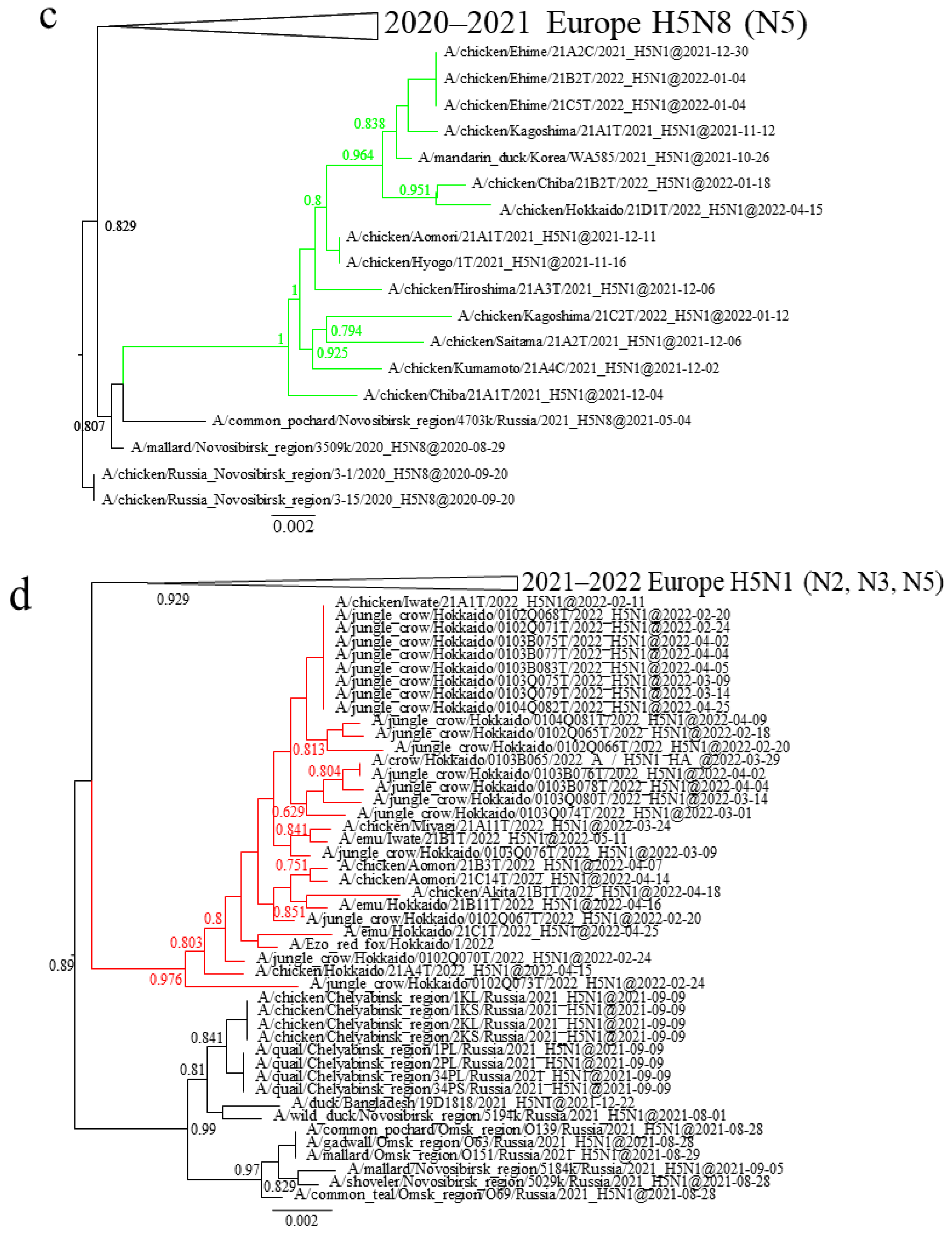 Viruses 16 00358 g001b Viruses 16 00358 g001b