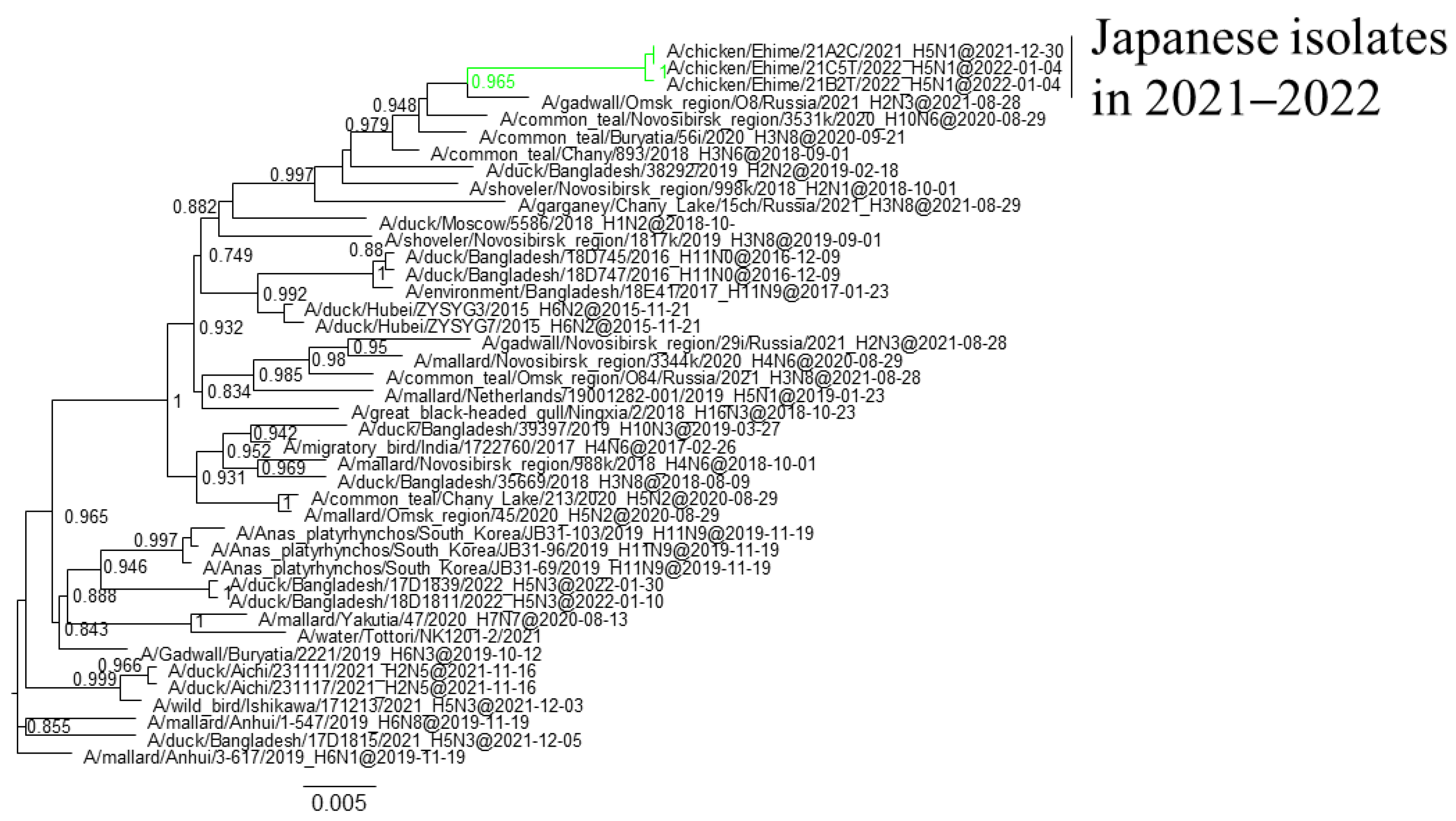 Viruses 16 00358 g003 Viruses 16 00358 g003
