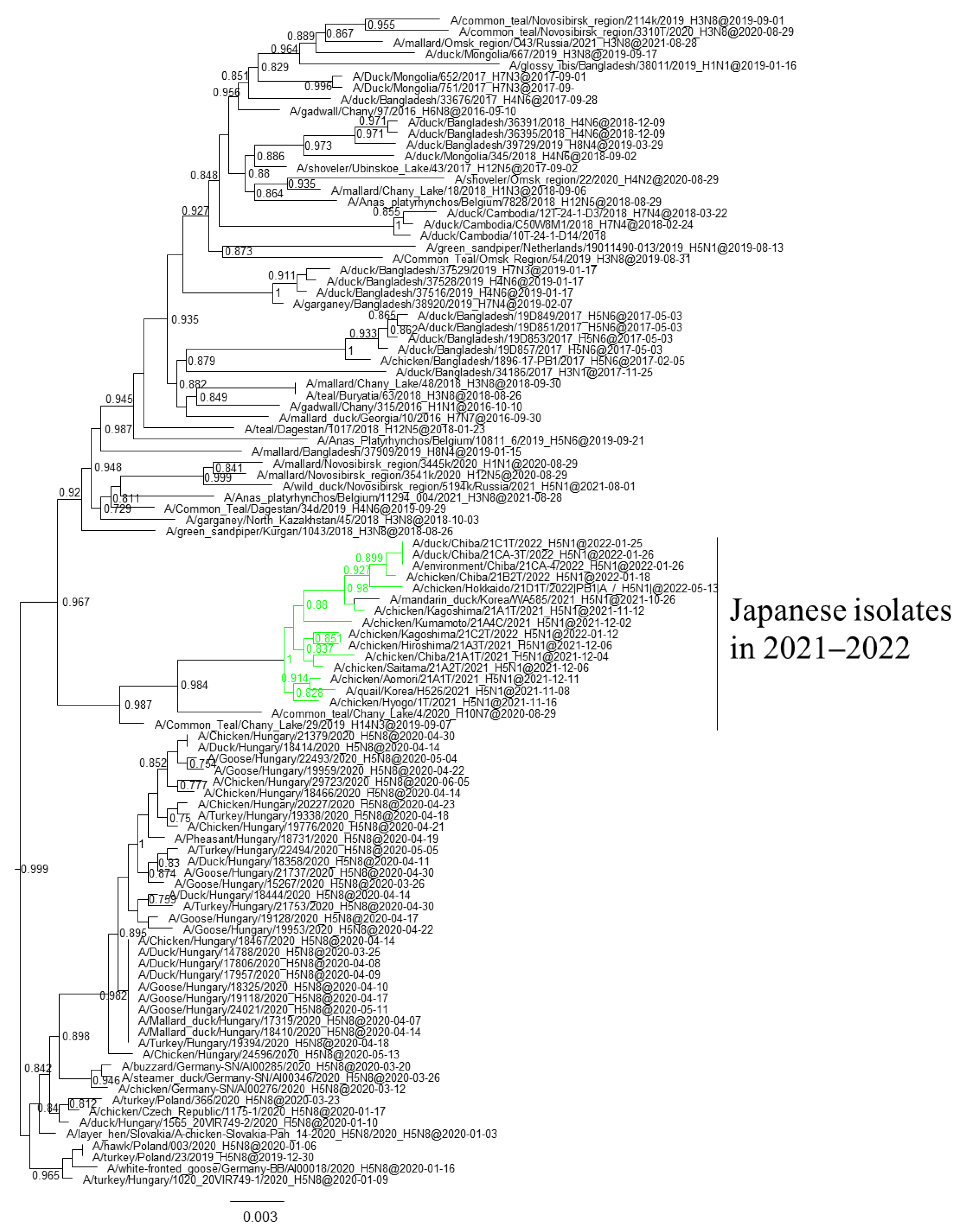Viruses 16 00358 g004 Viruses 16 00358 g004