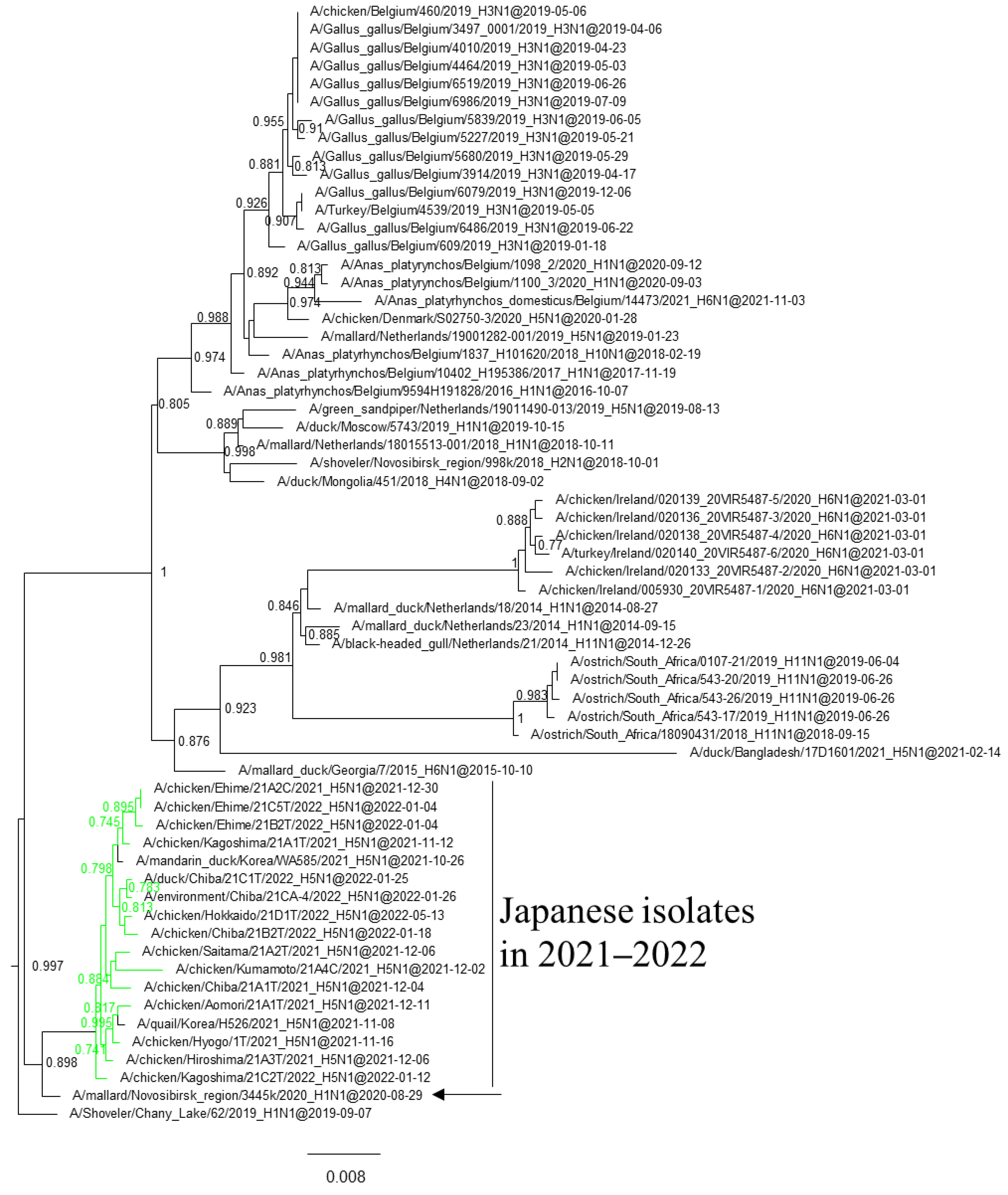 Viruses 16 00358 g005 Viruses 16 00358 g005