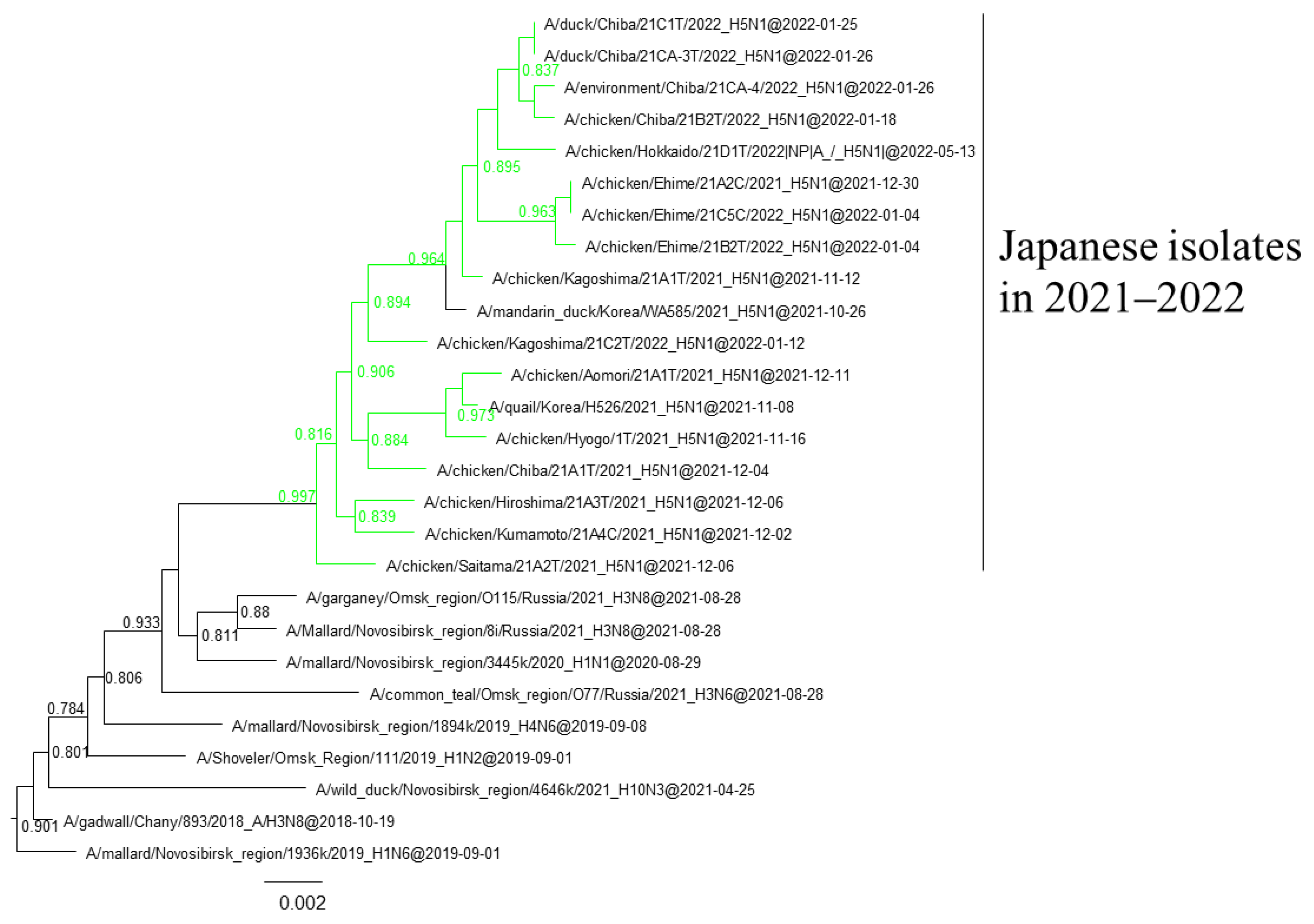 Viruses 16 00358 g006 Viruses 16 00358 g006