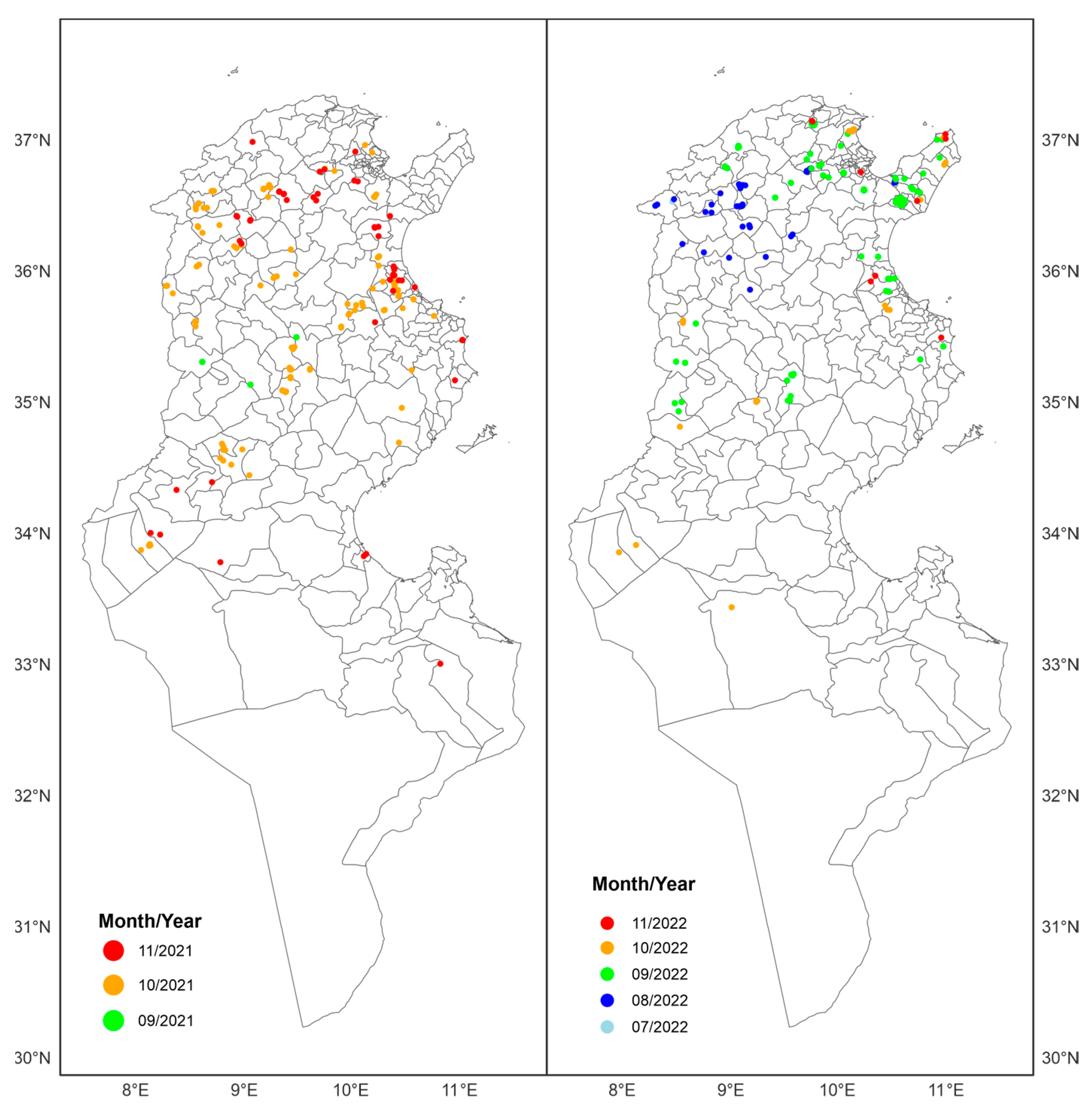 Viruses 16 00362 g001