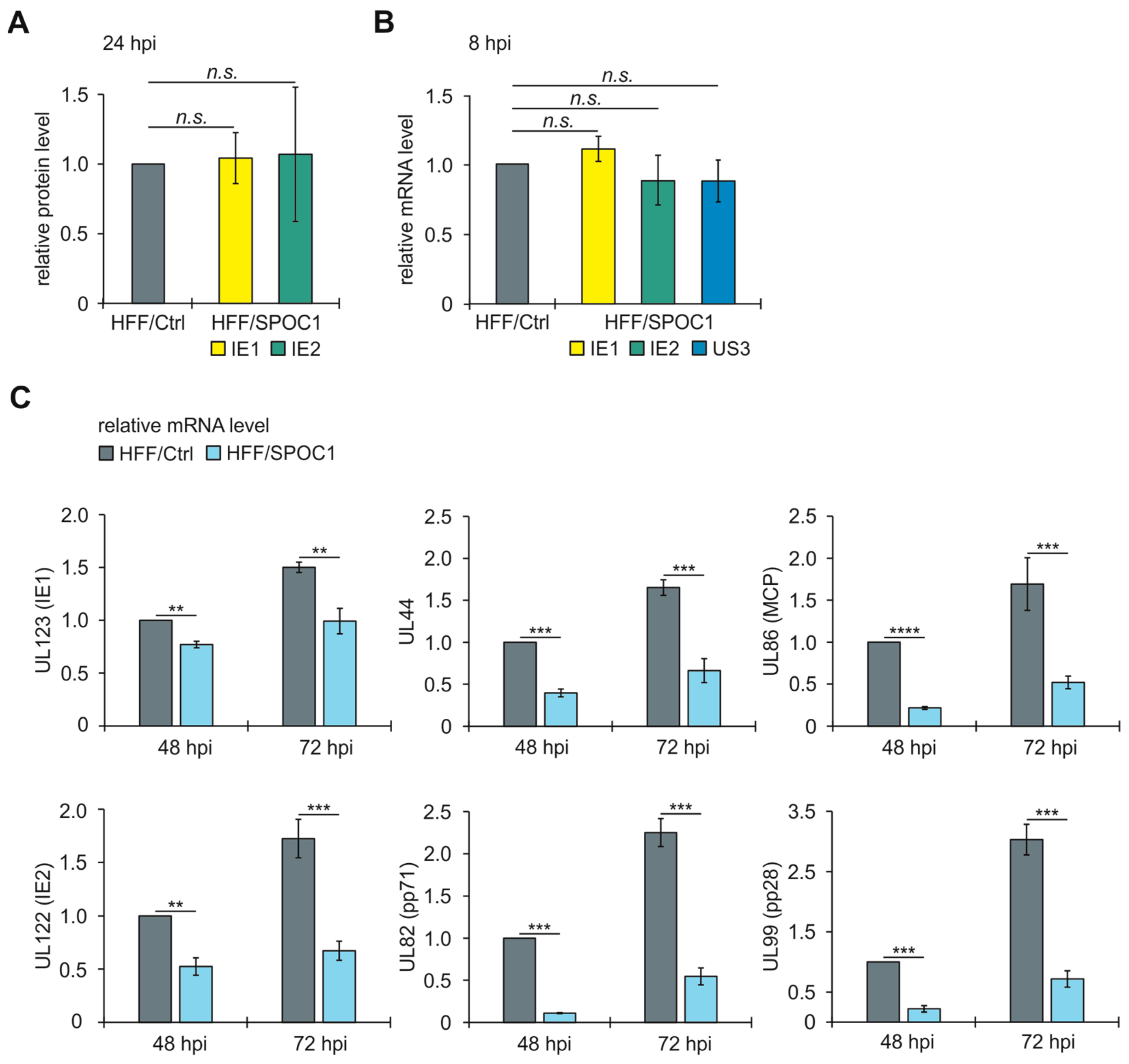 Viruses 16 00363 g004