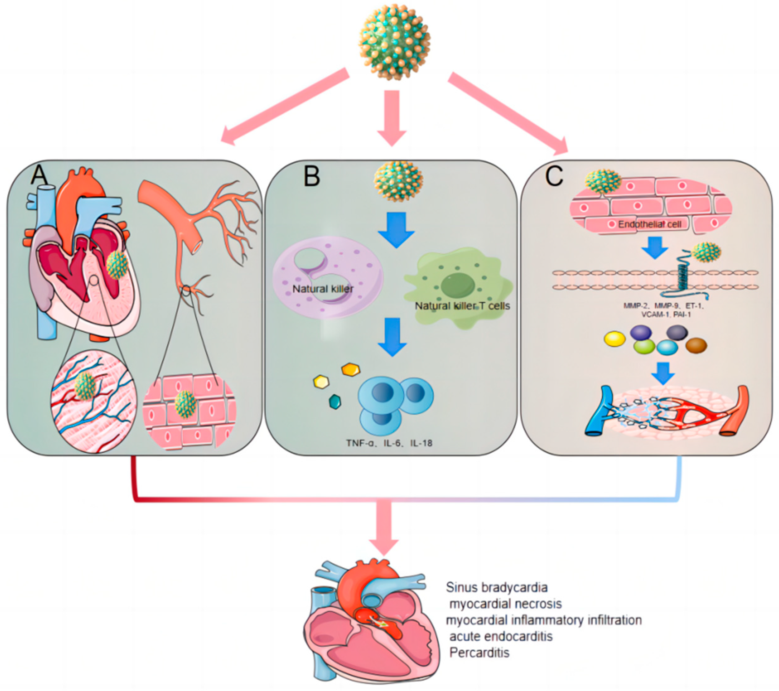 Viruses 16 00365 g003 Viruses 16 00365 g003