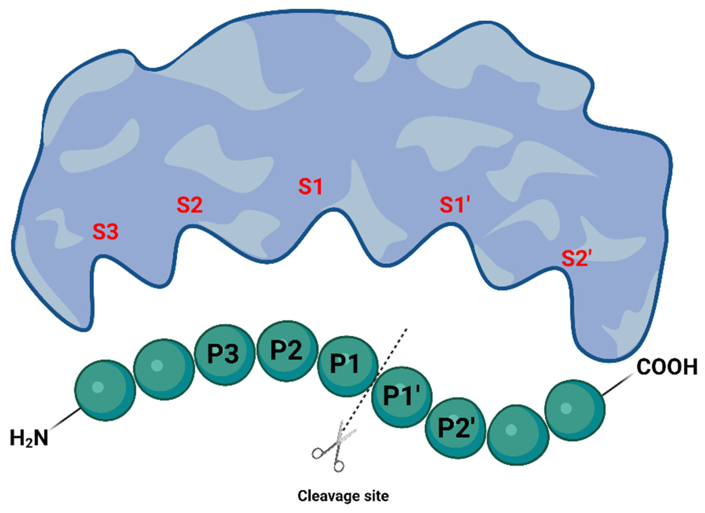 Viruses 16 00366 g003 Viruses 16 00366 g003
