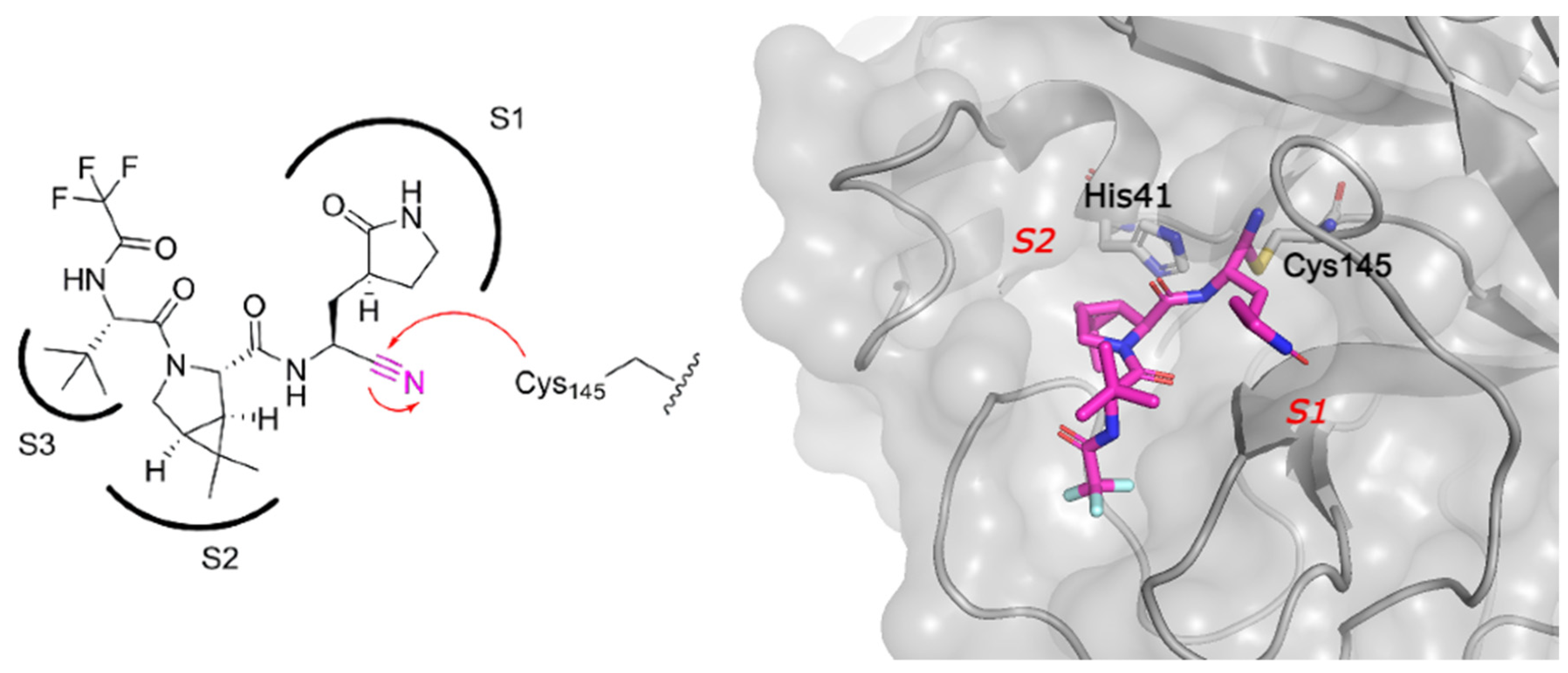 Viruses 16 00366 g005 Viruses 16 00366 g005